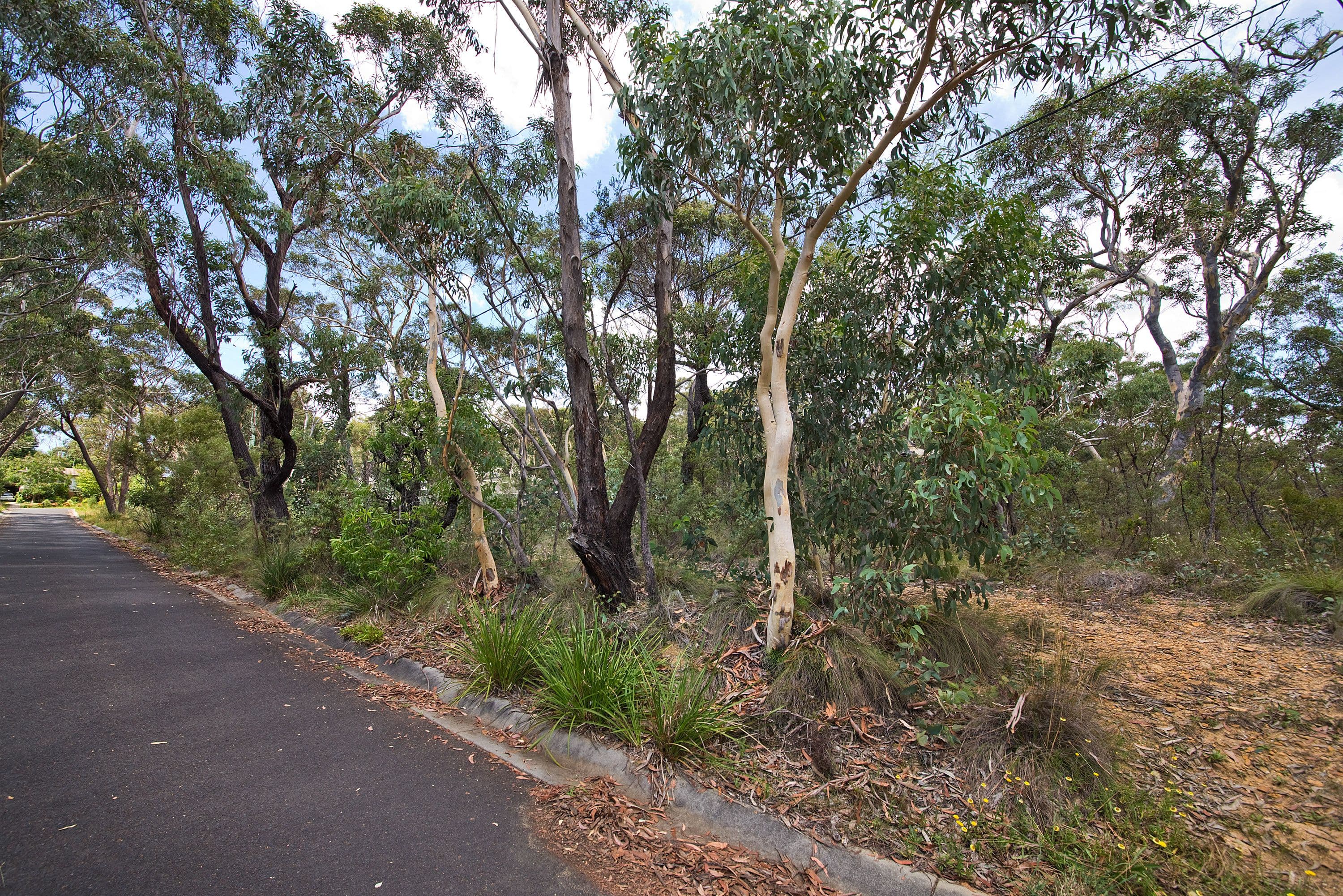 60 Godson Ave (Block 6), Blackheath NSW 2785, Blackheath - Thumbnail 2