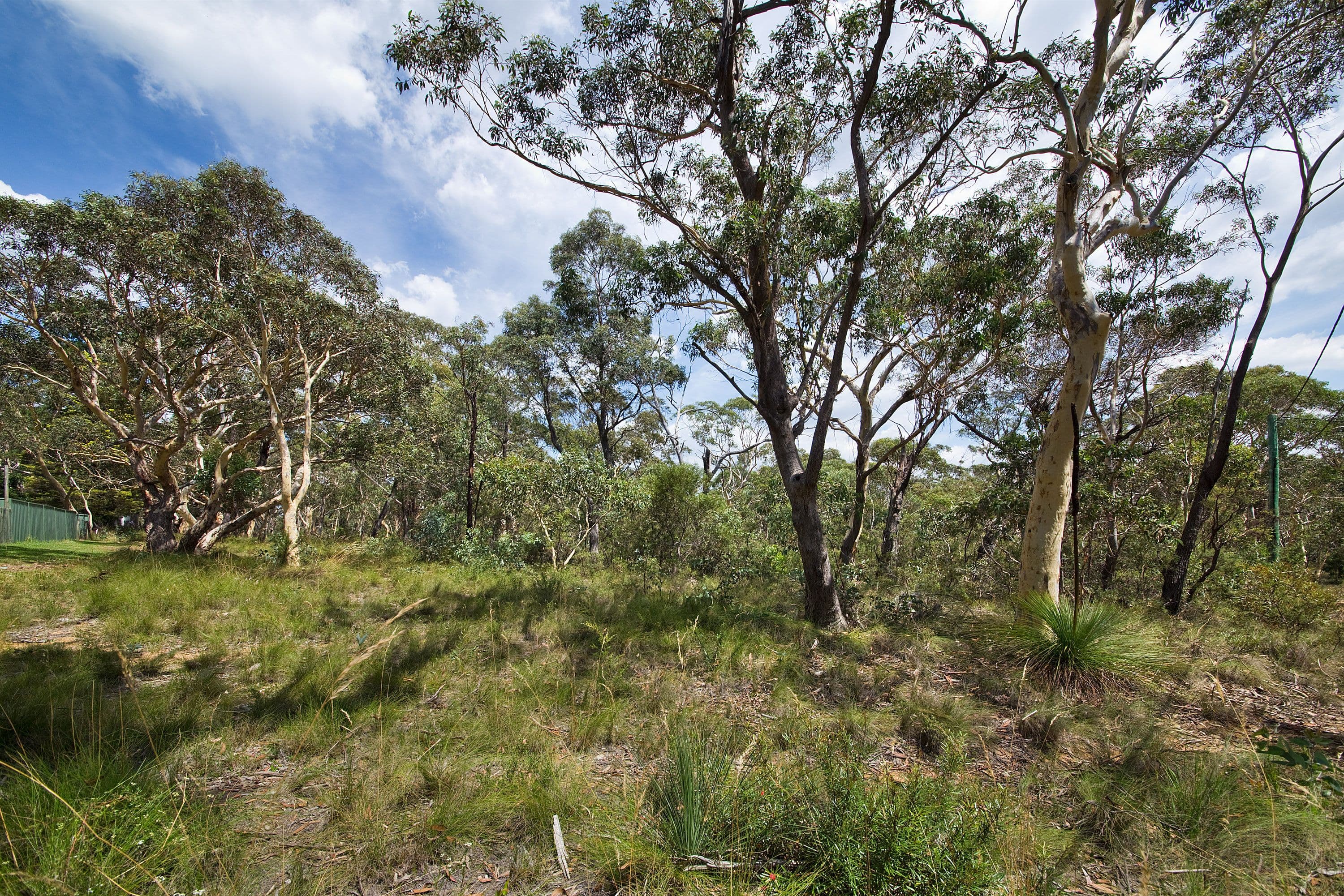 60 Godson Ave (Block 6), Blackheath NSW 2785, Blackheath - Thumbnail 3