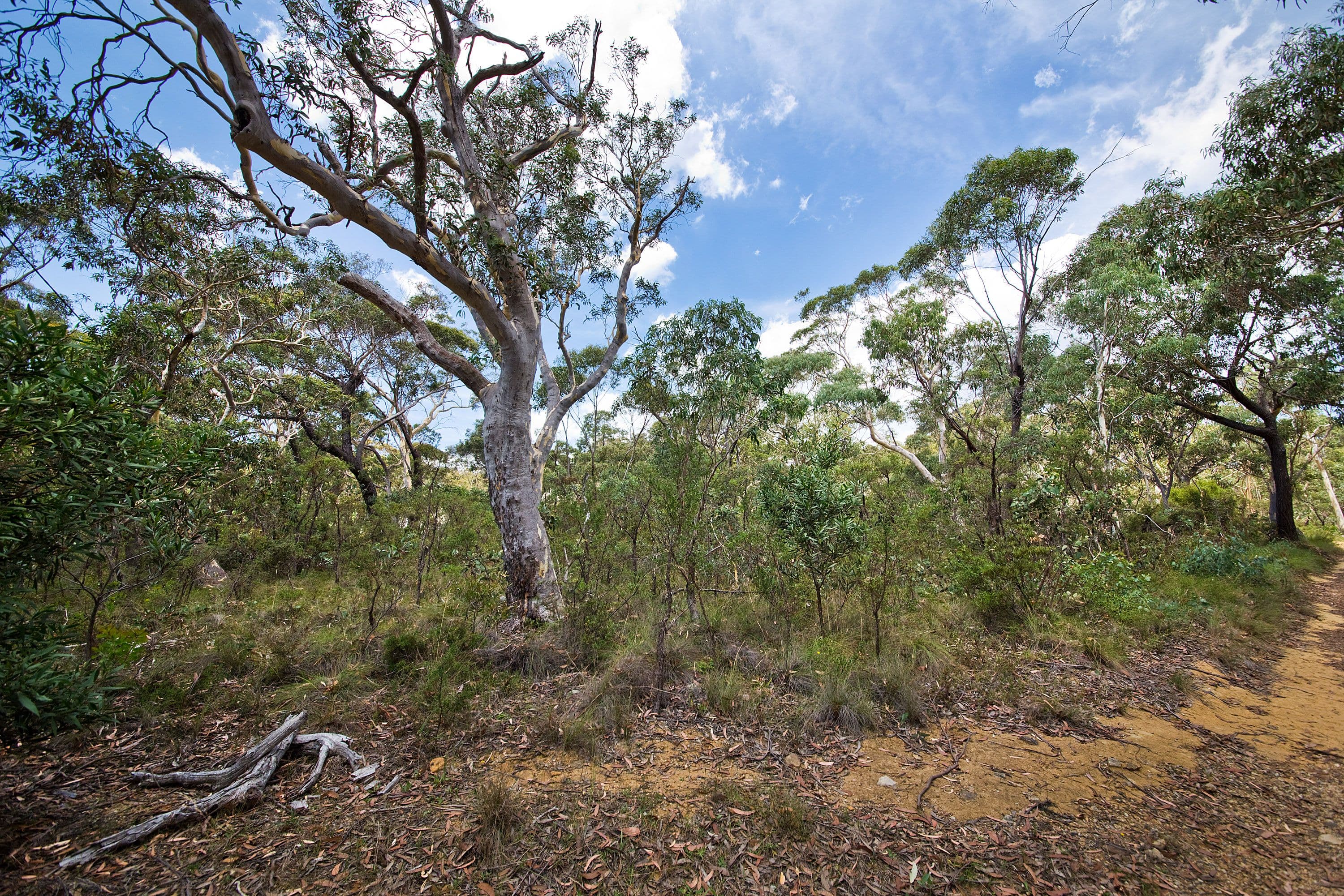 60 Godson Ave (Block 6), Blackheath NSW 2785, Blackheath - Thumbnail 5