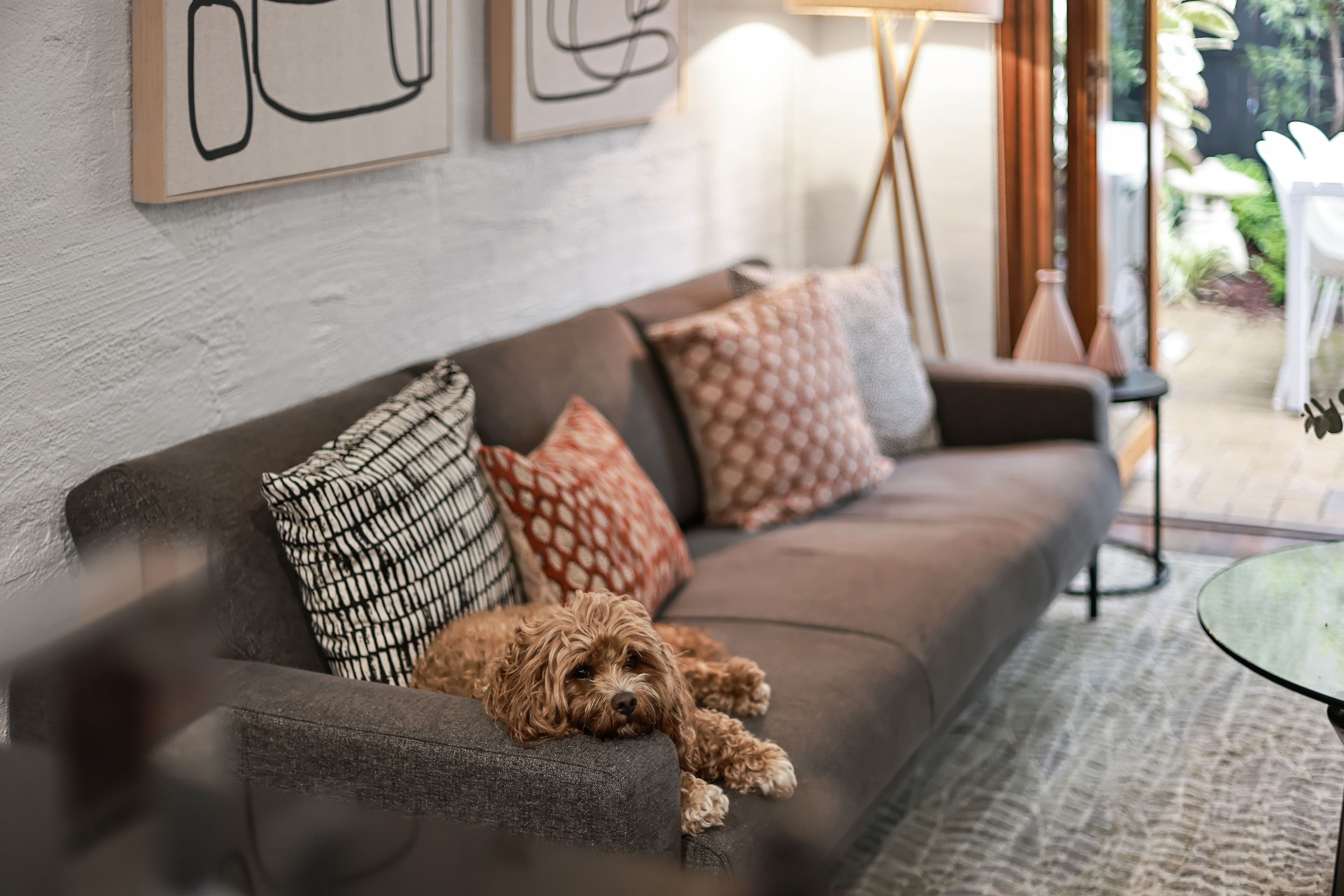 26C Morrissey Road, Erskineville NSW 2043, Erskineville - Thumbnail 4