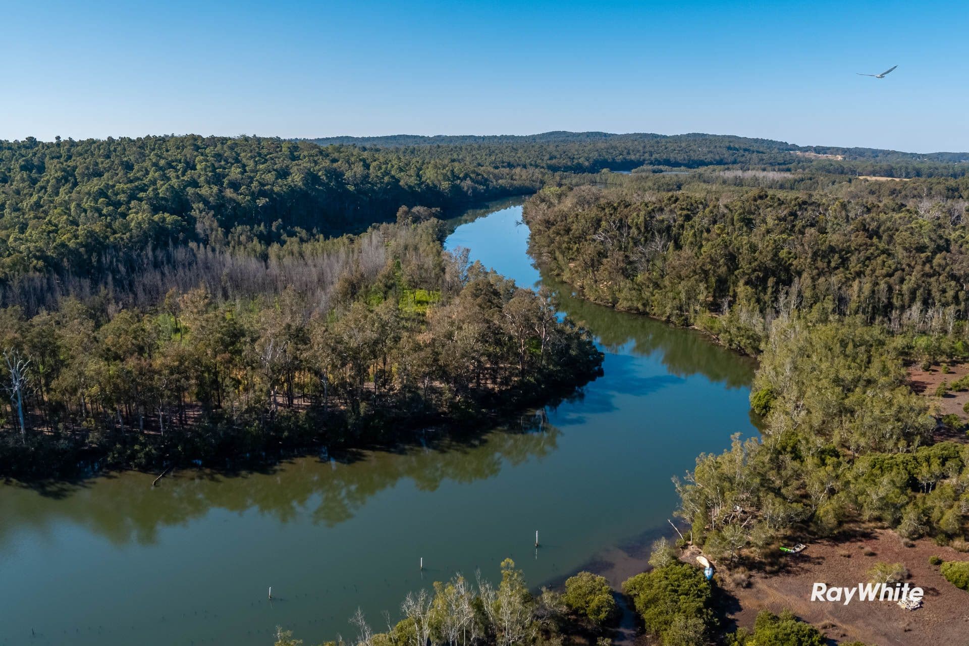 48 Goldfields Drive, Jeremadra NSW 2536, Jeremadra - Thumbnail 3