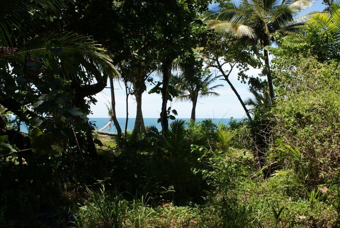 20 Koda Street, Wongaling Beach QLD 4852, Wongaling Beach - Thumbnail 3