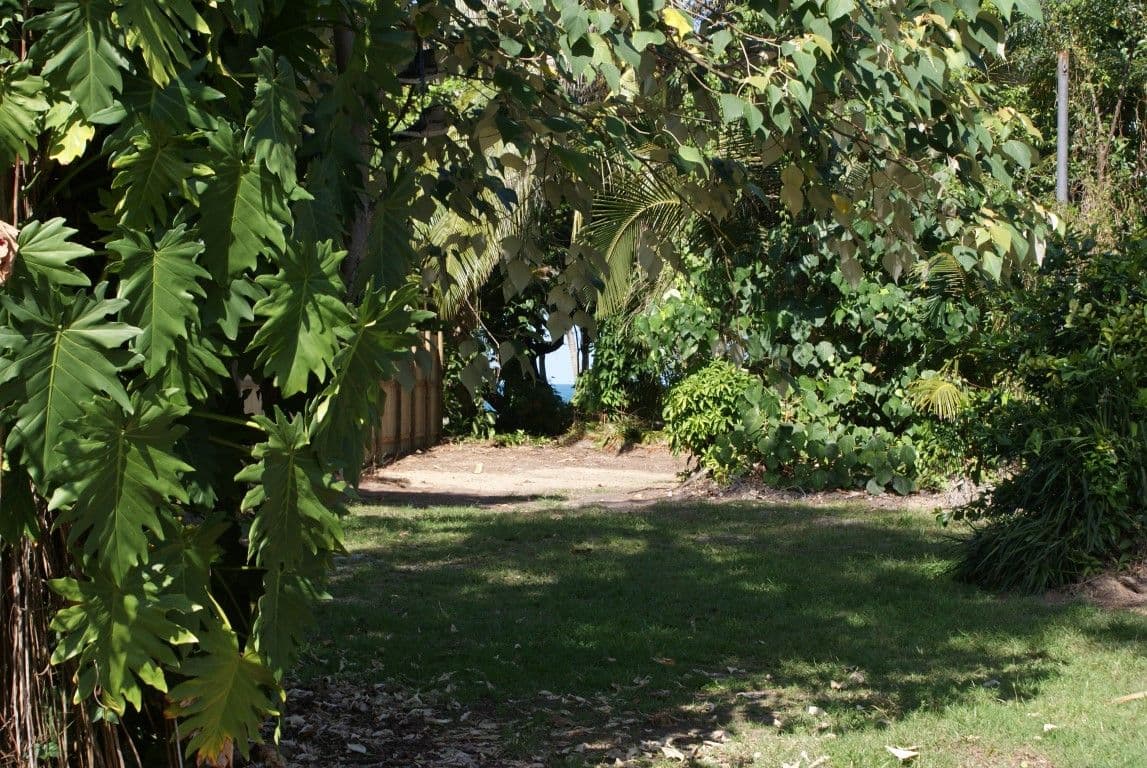 20 Koda Street, Wongaling Beach QLD 4852, Wongaling Beach - Thumbnail 6