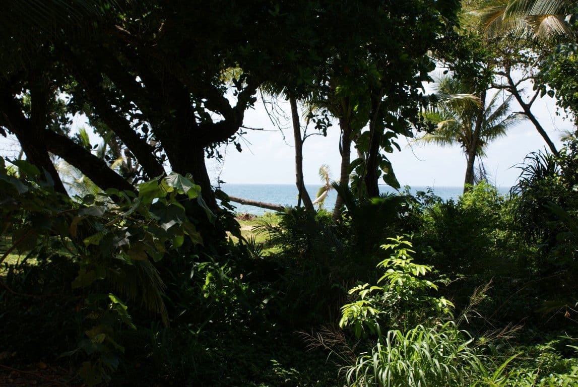 20 Koda Street, Wongaling Beach QLD 4852, Wongaling Beach - Thumbnail 7