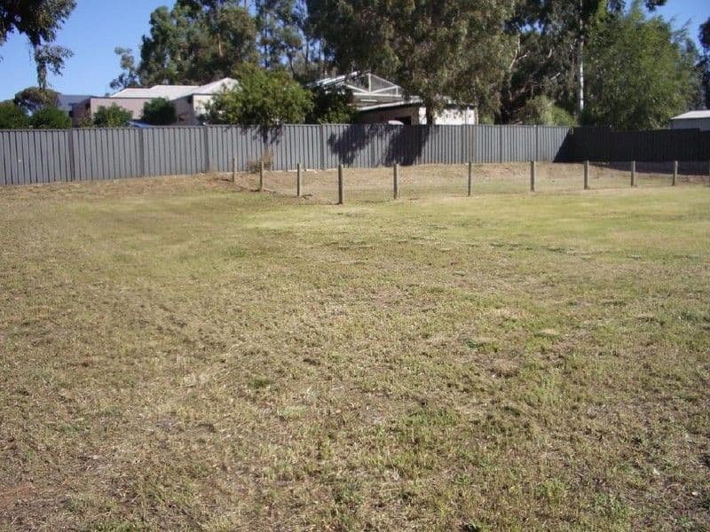 52 Albert Parade, BORDERTOWN SA 5268, Bordertown - Thumbnail 5
