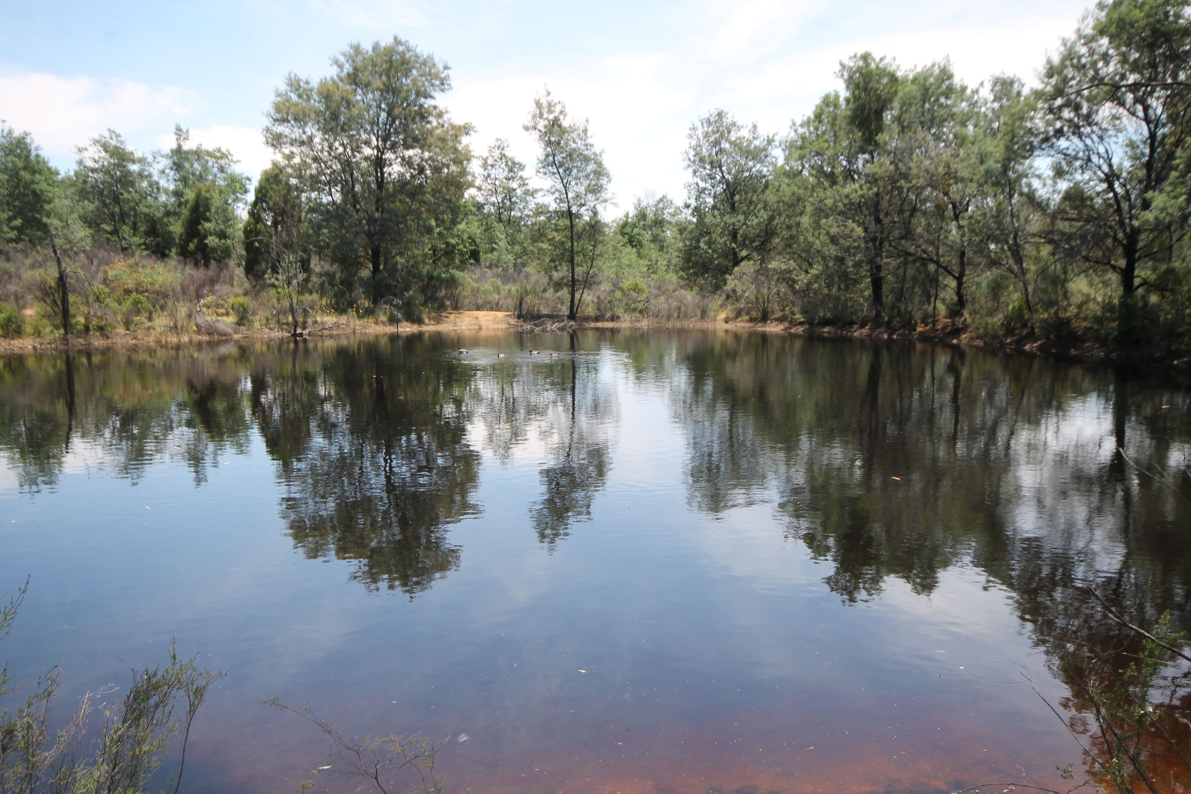 Lot 11 Warrumba Road, Bumbaldry NSW 2794, Bumbaldry - Thumbnail 2