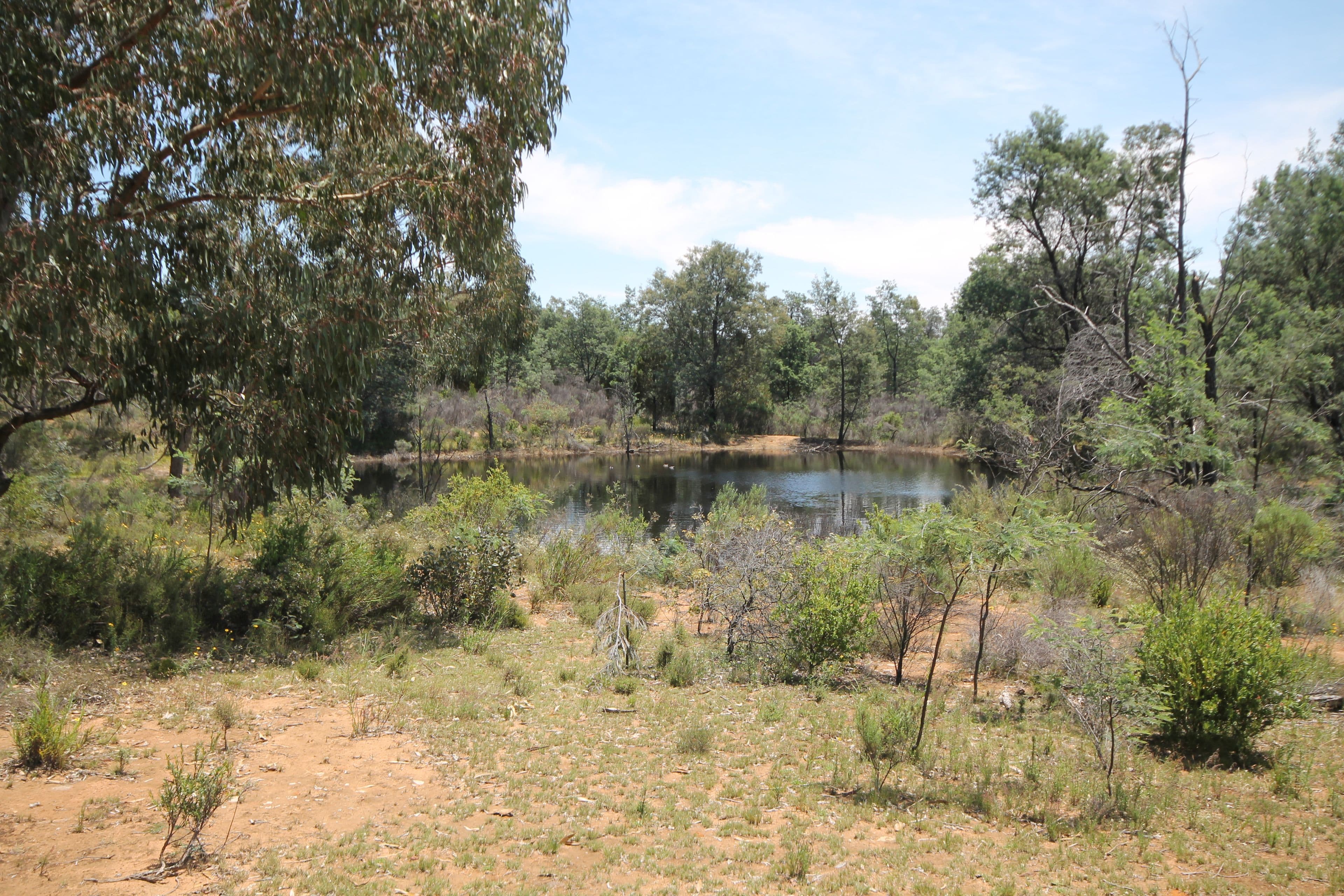 Lot 11 Warrumba Road, Bumbaldry NSW 2794, Bumbaldry - Thumbnail 5