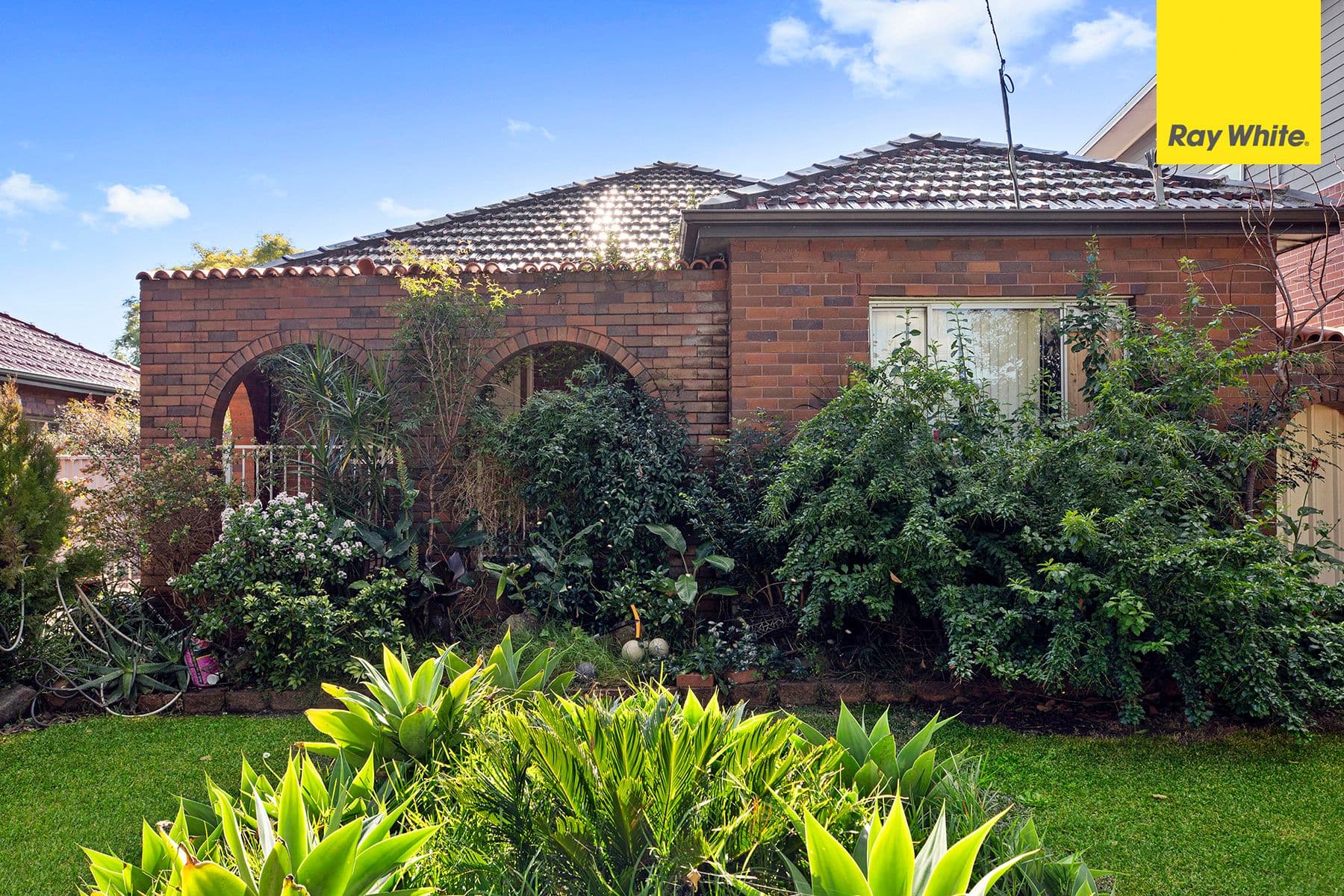 34 Carlton Parade, Punchbowl NSW 2196, Punchbowl - Thumbnail 2