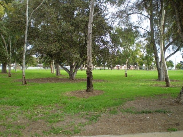 11 Sydney Avenue, KIDMAN PARK SA 5025, Kidman Park - Thumbnail 3