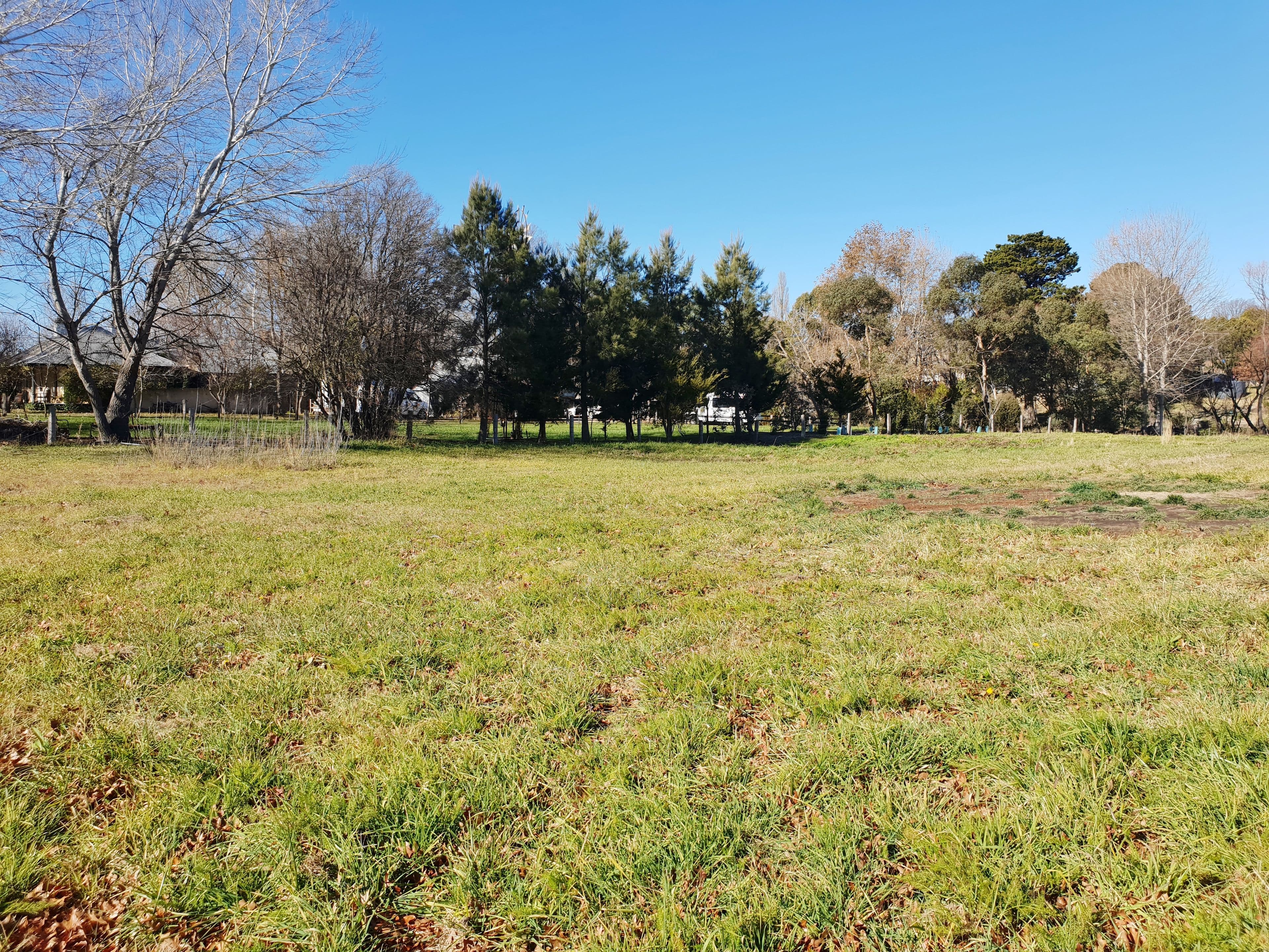 16 Solus Street, Braidwood NSW 2622, Braidwood - Thumbnail 4
