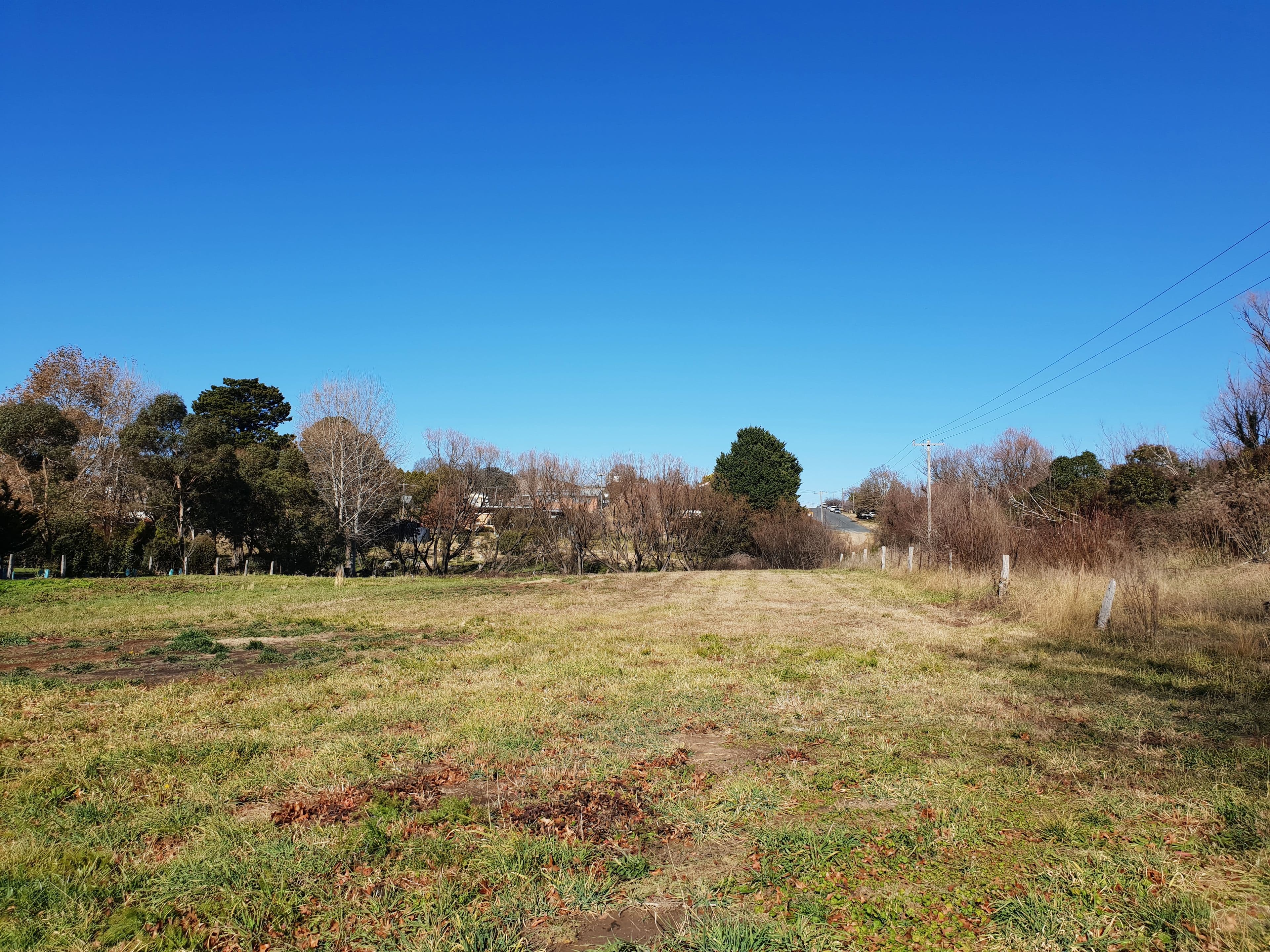 16 Solus Street, Braidwood NSW 2622, Braidwood - Thumbnail 5