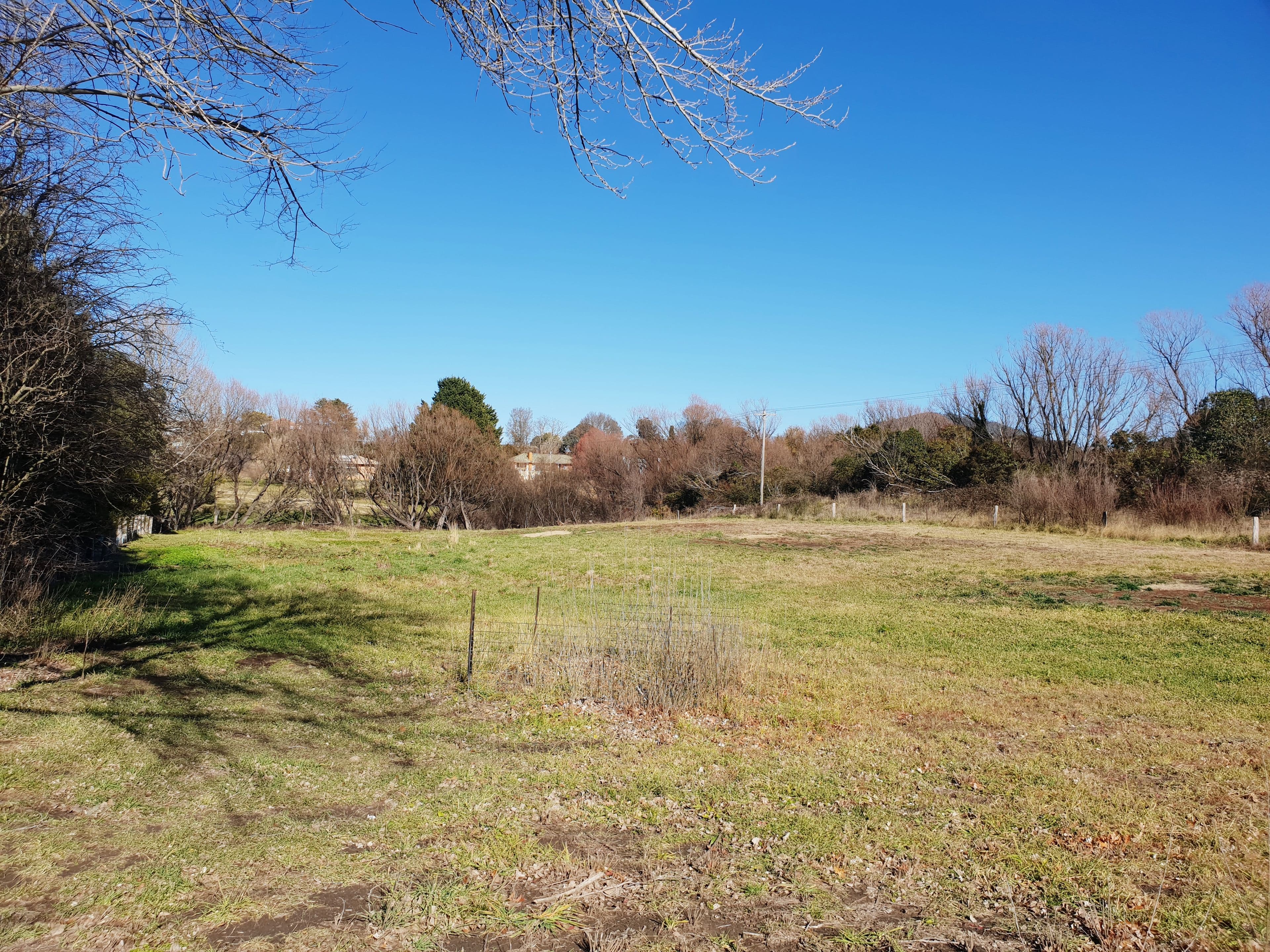 16 Solus Street, Braidwood NSW 2622, Braidwood - Thumbnail 6