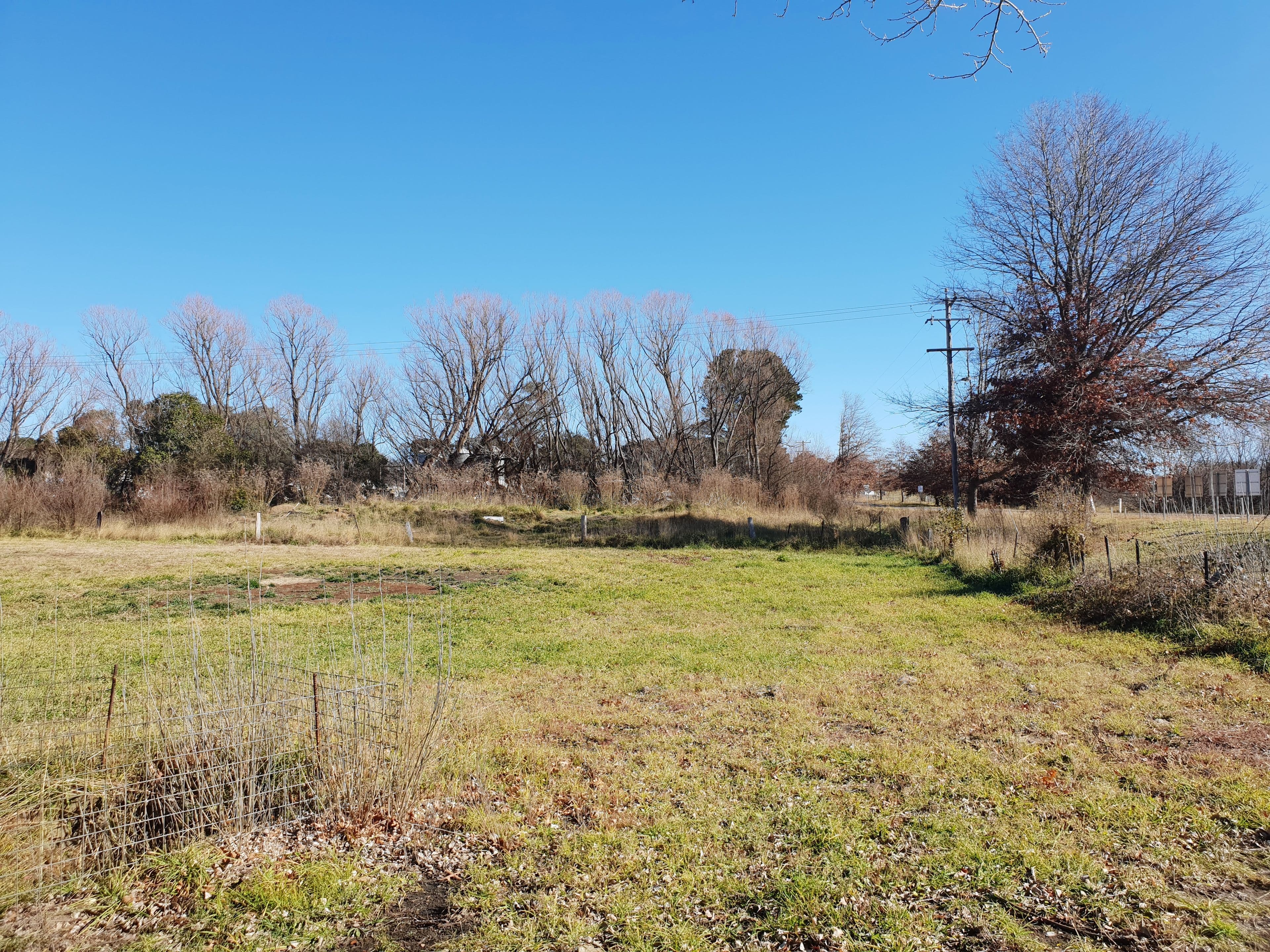16 Solus Street, Braidwood NSW 2622, Braidwood - Thumbnail 7