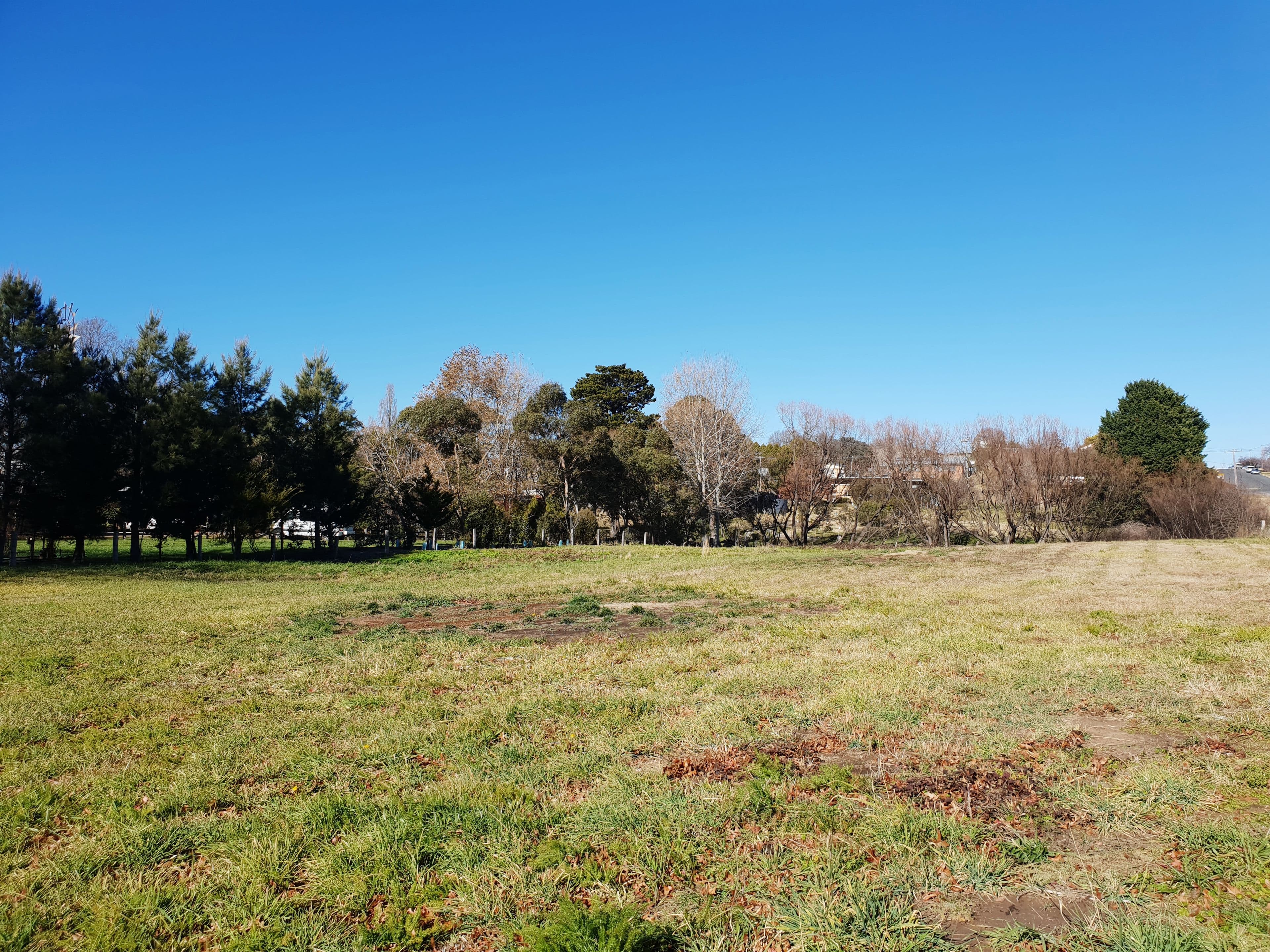16 Solus Street, Braidwood NSW 2622, Braidwood - Thumbnail 8
