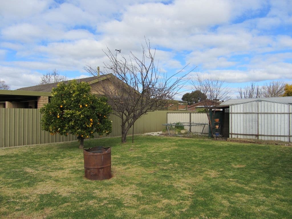 12 Jackling Drive, LAVINGTON NSW 2641, Lavington - Thumbnail 7