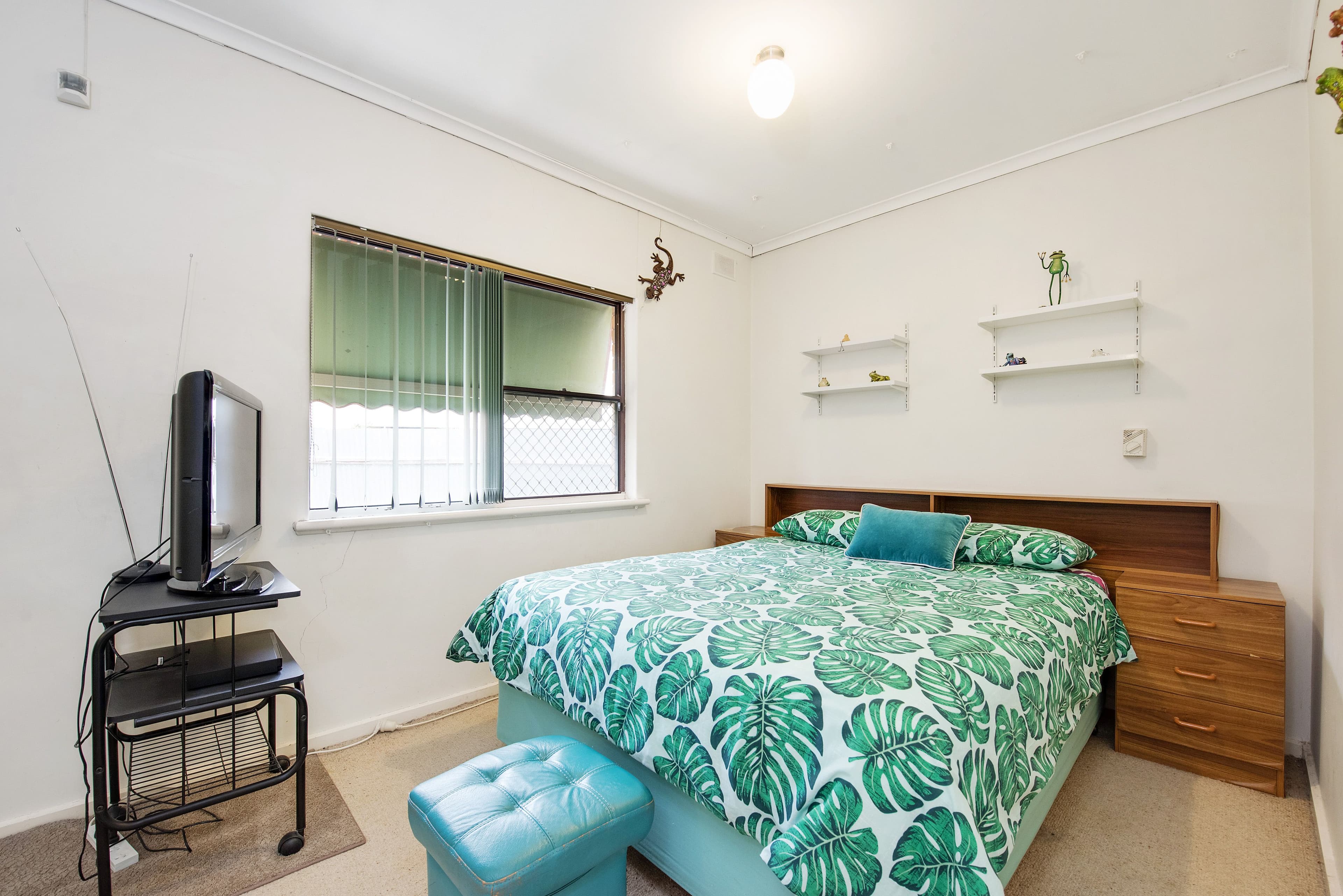 16 Norfolk Avenue, Fulham Gardens SA 5024, Fulham Gardens - Thumbnail 7
