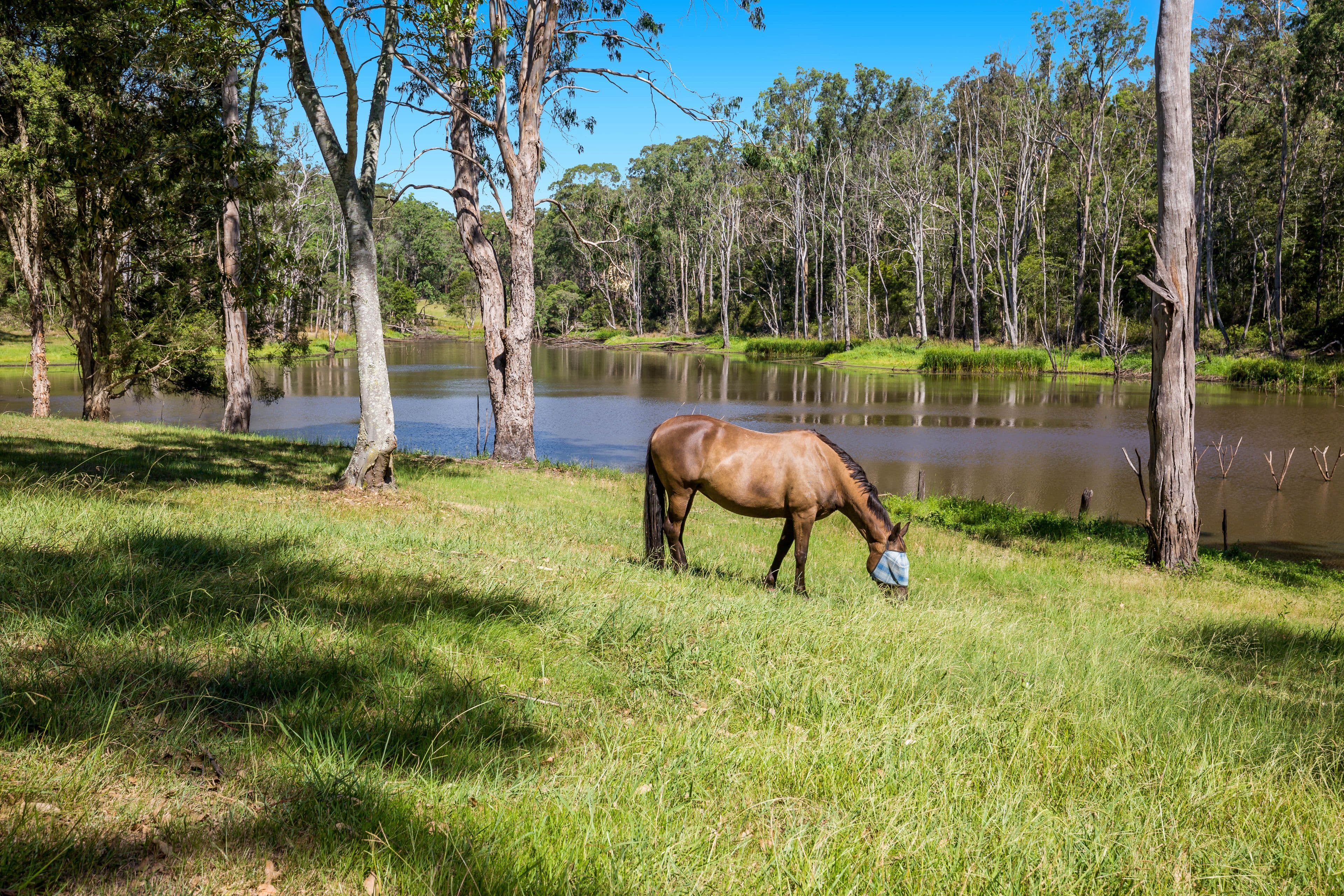 110 Tizzana Road, Ebenezer - Thumbnail 4