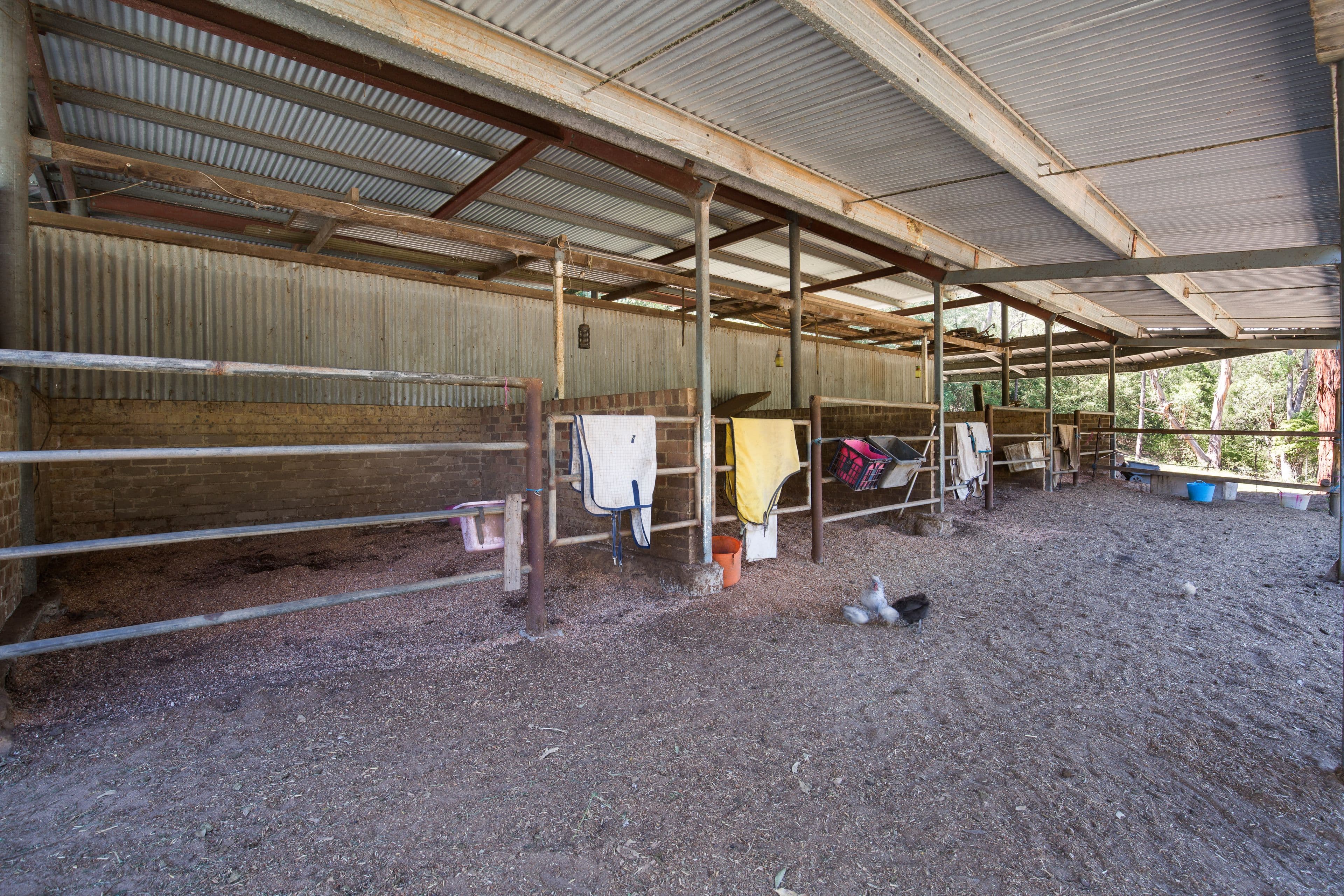 110 Tizzana Road, Ebenezer - Thumbnail 6