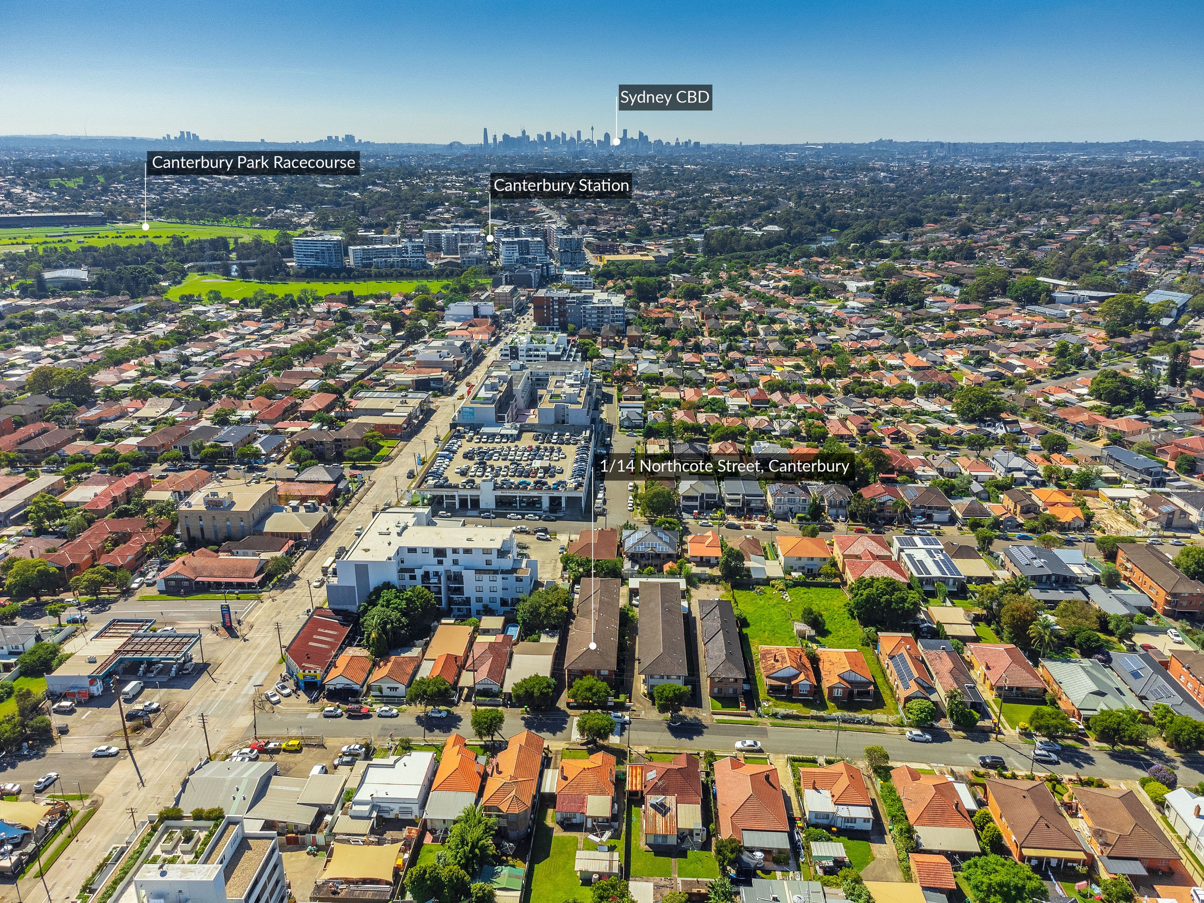 14 Northcote Street, Canterbury NSW 2193, Canterbury - Thumbnail 6