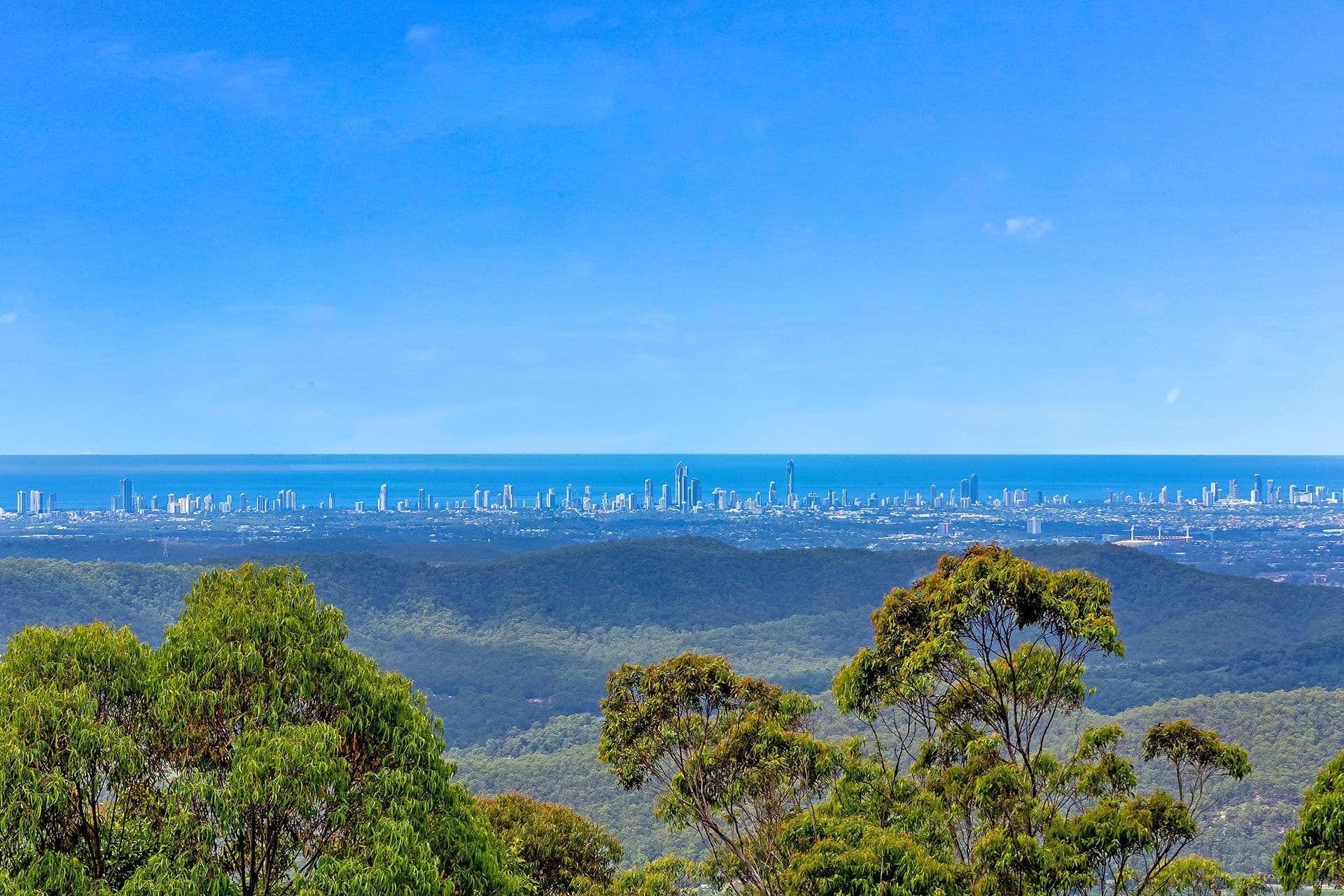 99 Guanaba Road, Tamborine Mountain QLD 4272, Tamborine Mountain - Thumbnail 2