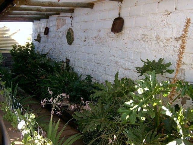 Lt 2  Kingston Road, MOOROOK SA 5332, Moorook South - Thumbnail 6