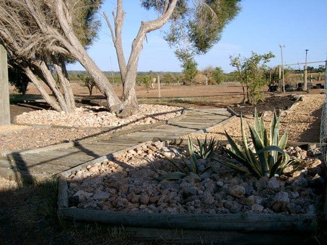 Lt 2  Kingston Road, MOOROOK SA 5332, Moorook South - Thumbnail 8
