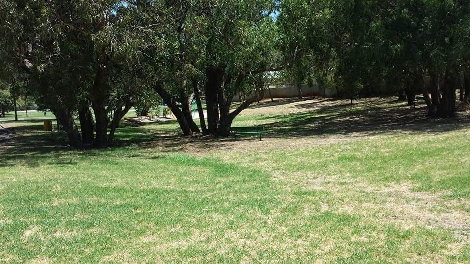 5 Hamilton Terrace, Greenmount WA 6056, Greenmount - Thumbnail 6