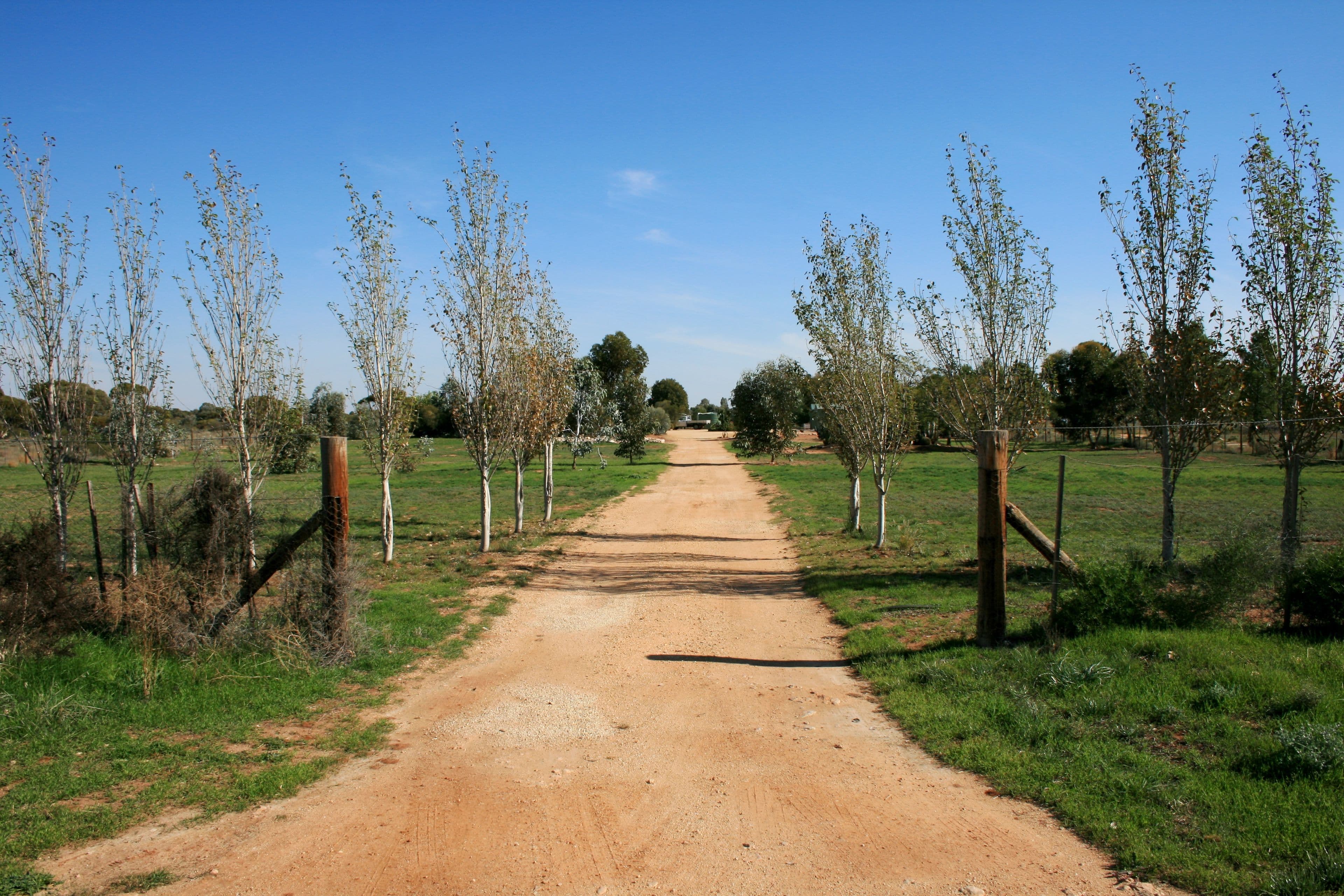 326 Caddy Road, Loveday SA 5345, Loveday - Thumbnail 2