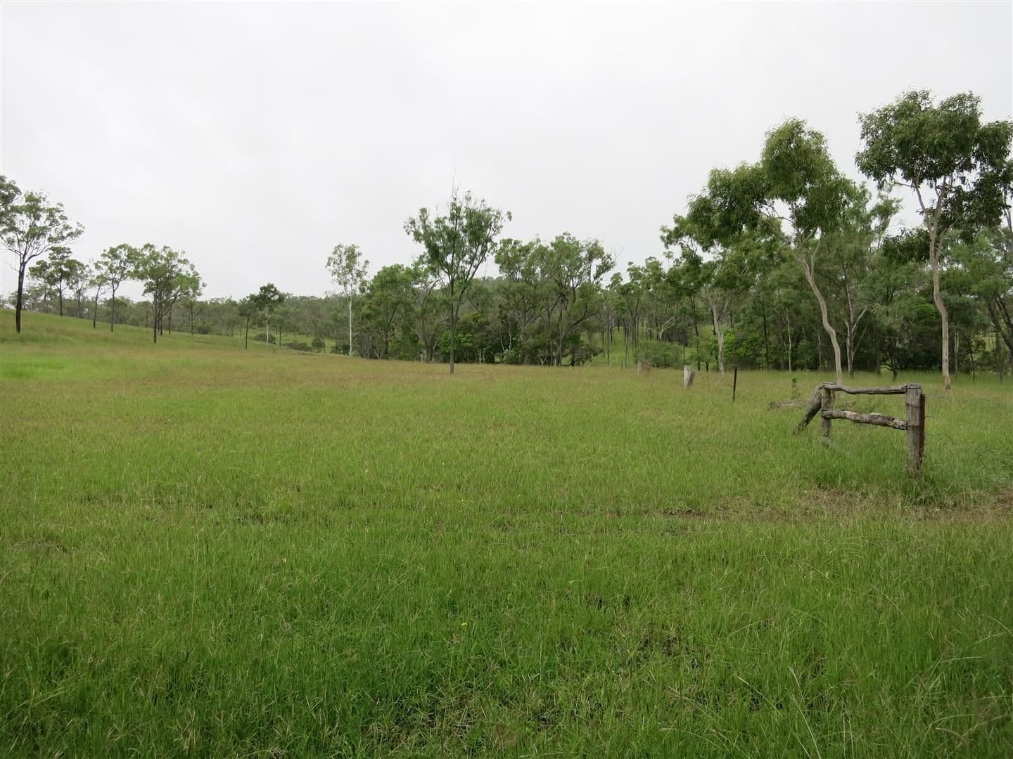 Lot 4 Stanwell-Waroula Road, STANWELL QLD 4702, Stanwell - Thumbnail 2