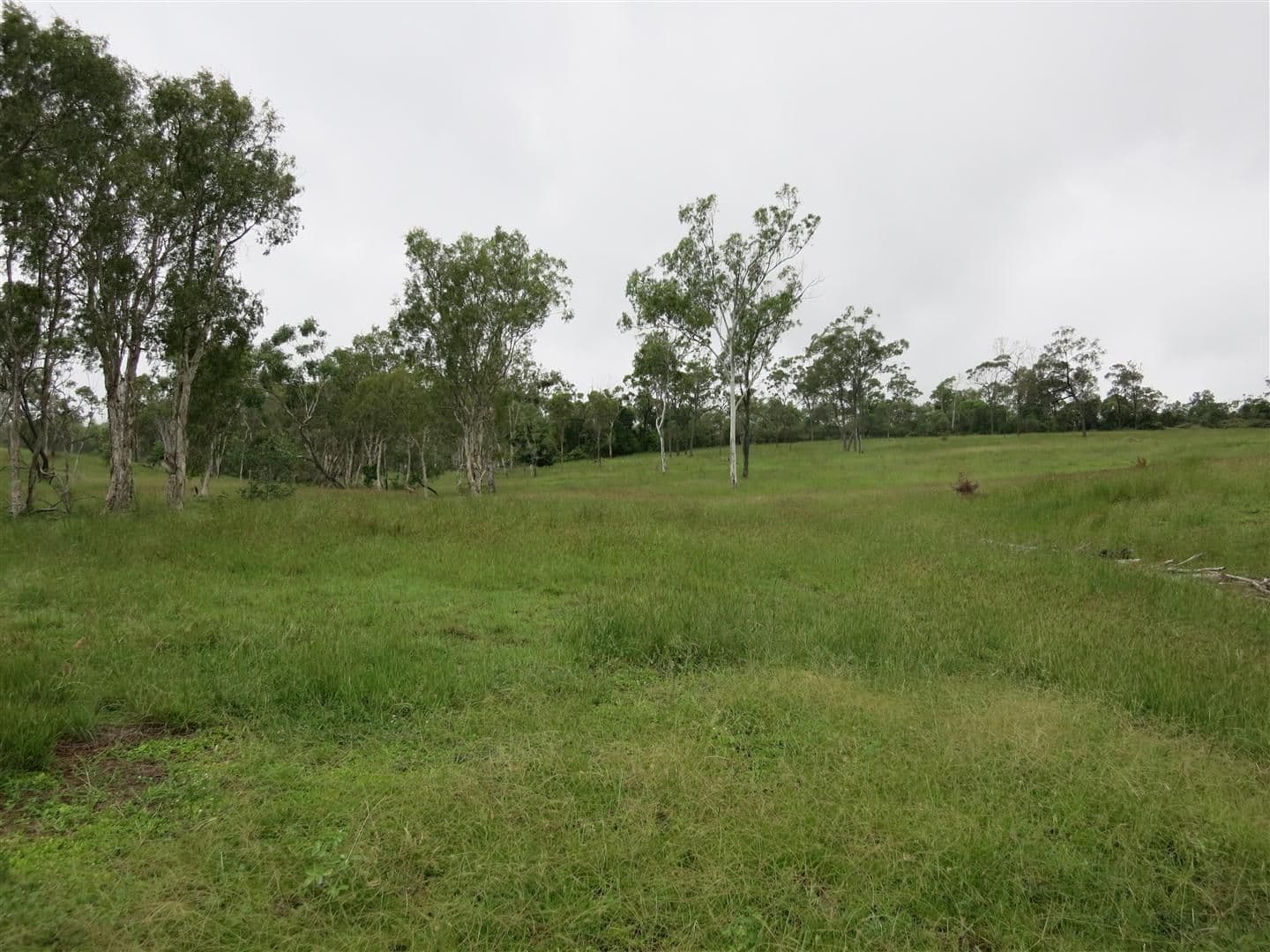 Lot 4 Stanwell-Waroula Road, STANWELL QLD 4702, Stanwell - Thumbnail 4