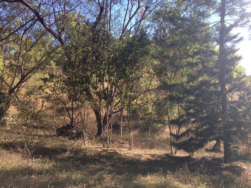 82a Alligator Creek Road, ALLIGATOR CREEK QLD 4816, Alligator Creek - Thumbnail 2