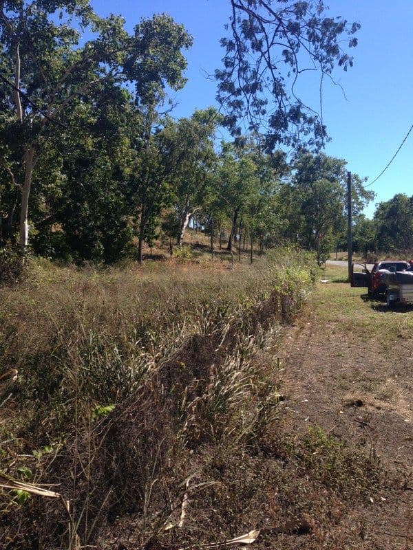 82a Alligator Creek Road, ALLIGATOR CREEK QLD 4816, Alligator Creek - Thumbnail 3