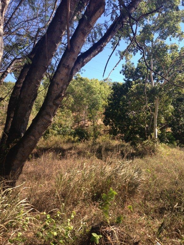 82a Alligator Creek Road, ALLIGATOR CREEK QLD 4816, Alligator Creek - Thumbnail 4