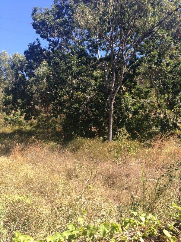 82a Alligator Creek Road, ALLIGATOR CREEK QLD 4816, Alligator Creek - Thumbnail 5