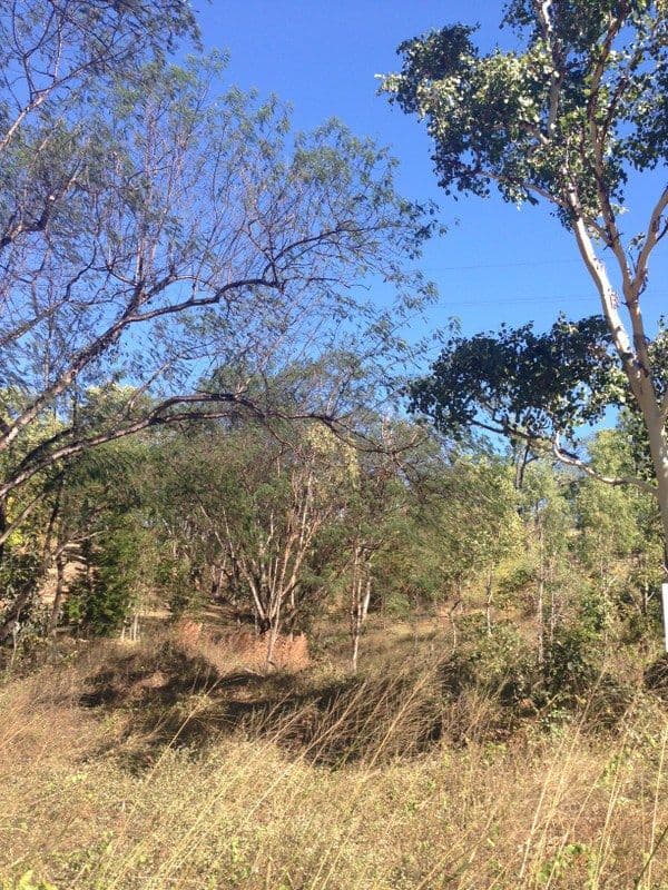 82a Alligator Creek Road, ALLIGATOR CREEK QLD 4816, Alligator Creek - Thumbnail 6