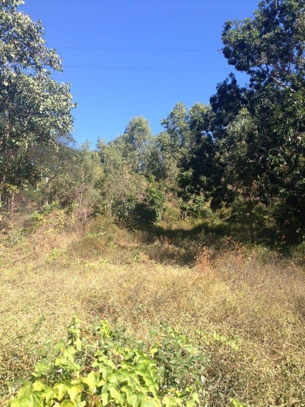 82a Alligator Creek Road, ALLIGATOR CREEK QLD 4816, Alligator Creek - Thumbnail 7