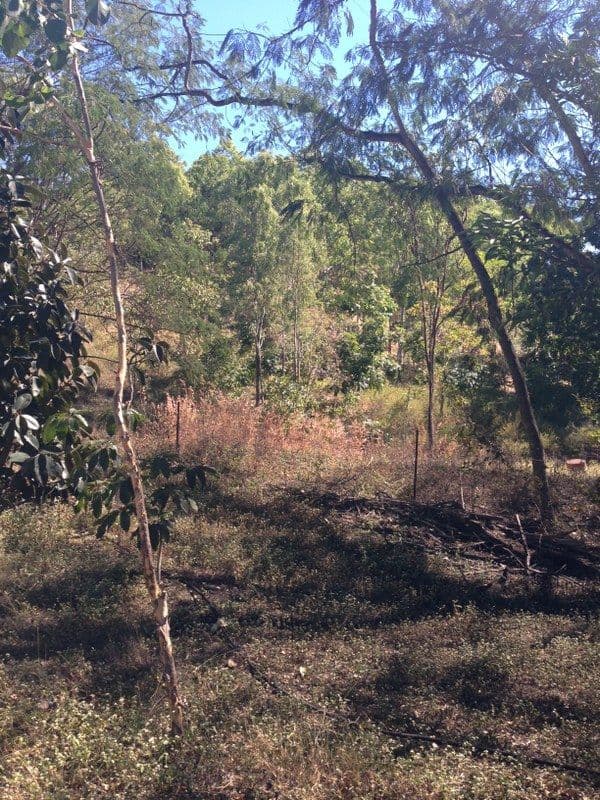 82a Alligator Creek Road, ALLIGATOR CREEK QLD 4816, Alligator Creek - Thumbnail 8