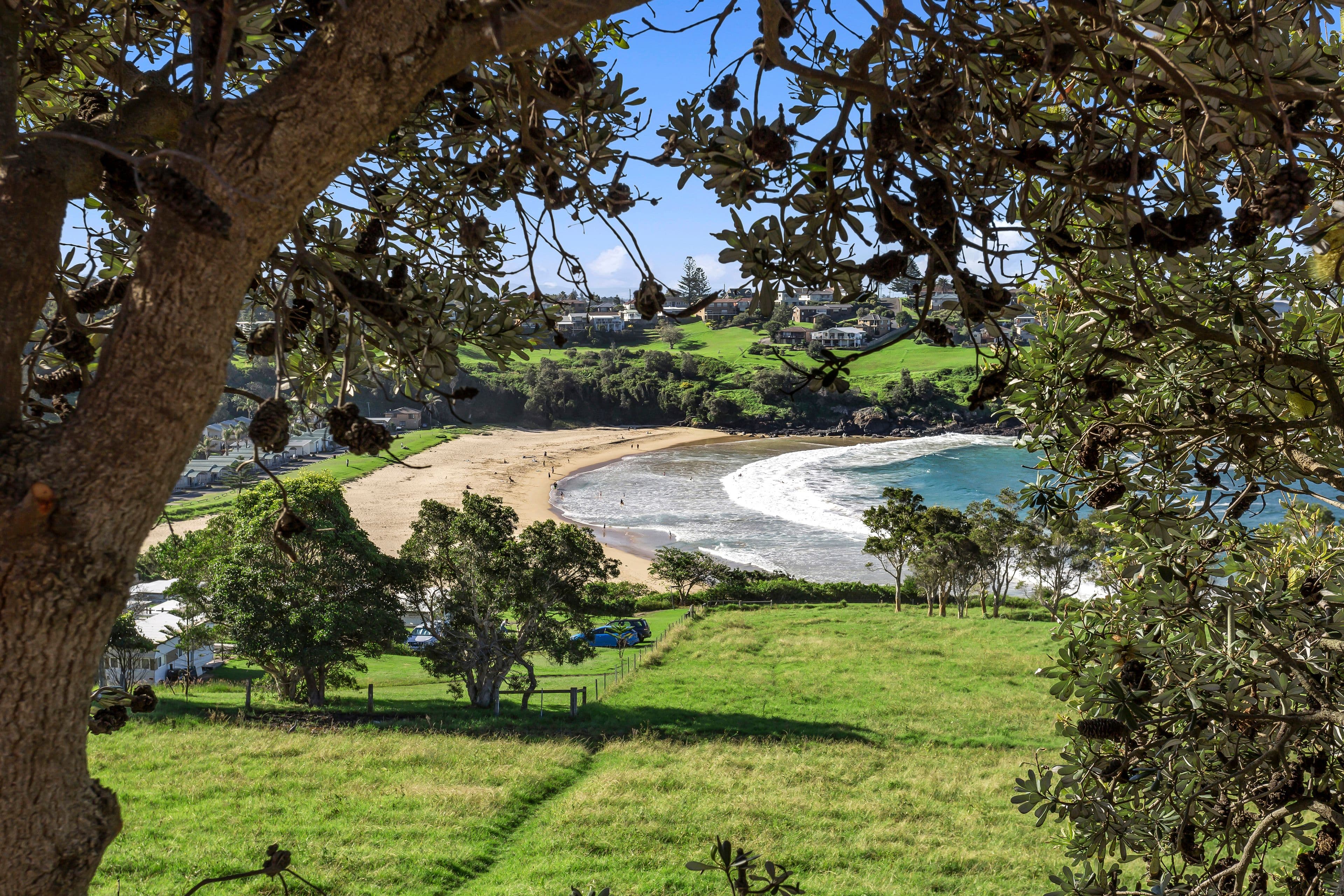 97 Attunga Avenue, Kiama Heights NSW 2533, Kiama Heights - Thumbnail 8
