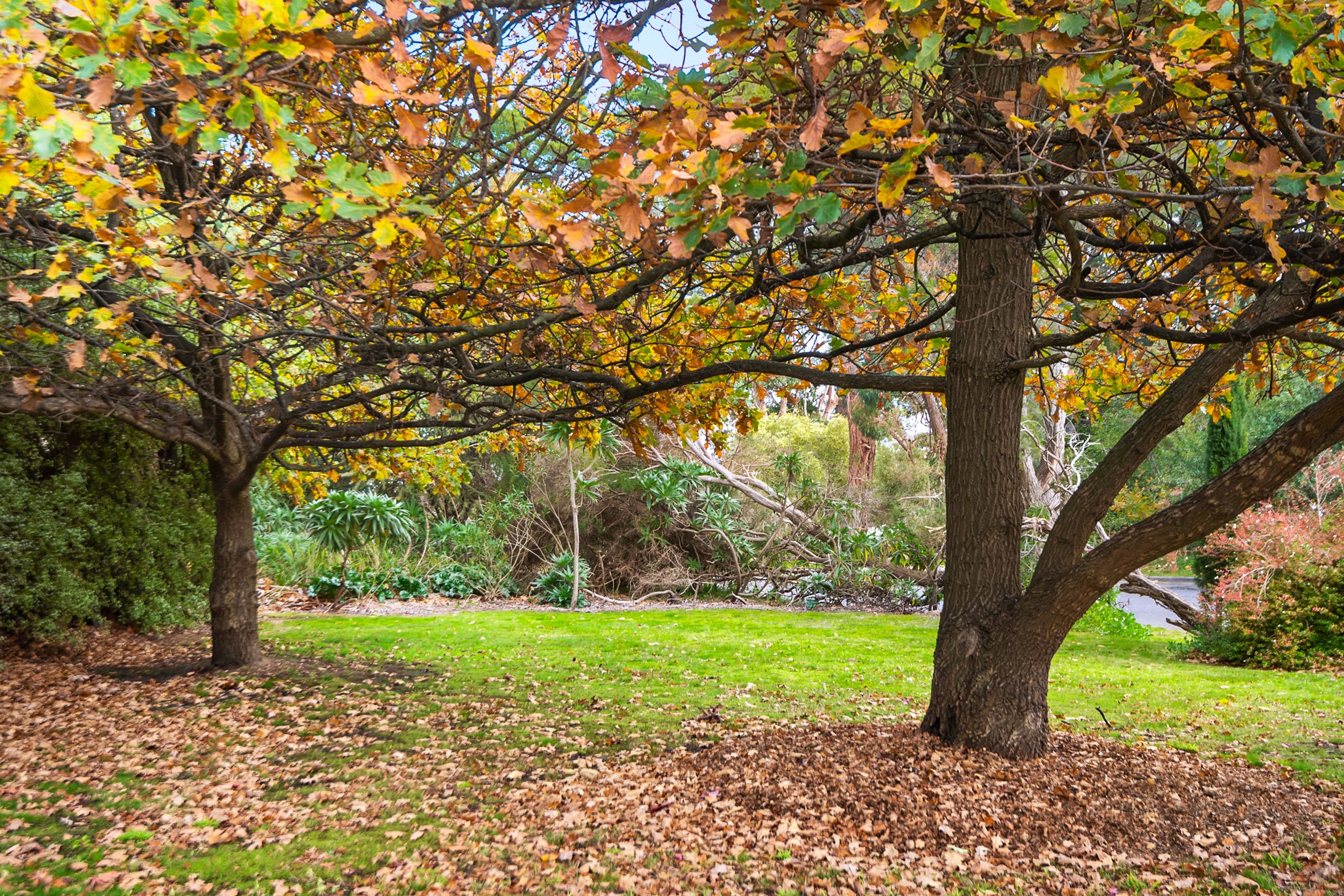6 Berkeley Court, Mount Eliza VIC 3930, Mount Eliza - Thumbnail 8