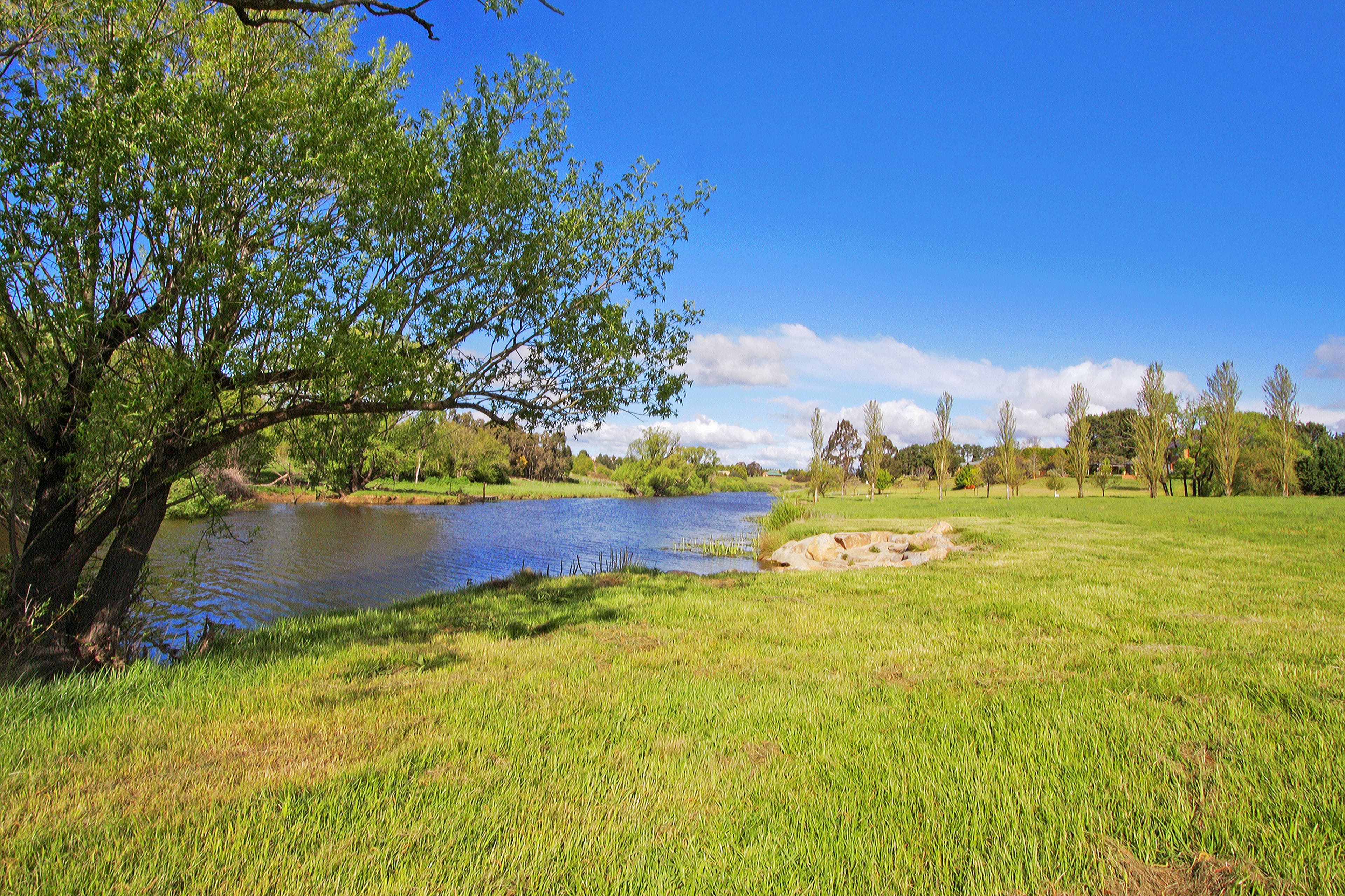 29 Davis Street, Carlton North VIC 3054, Carlton North - Thumbnail 6