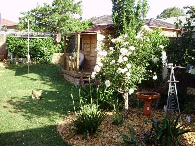 64 Tobruk Road, NARELLAN VALE NSW 2567, Narellan Vale - Thumbnail 3