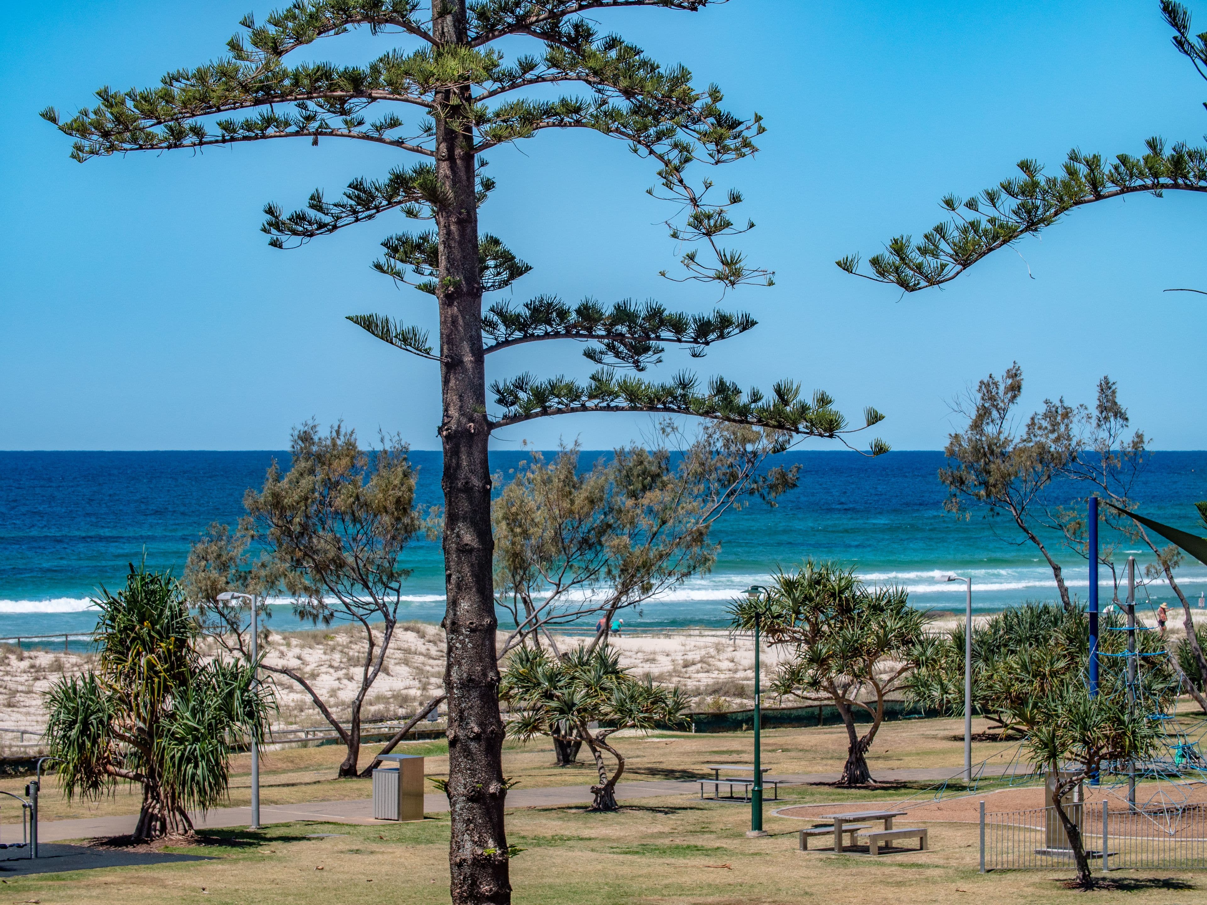 1 Douglas Street, Coolangatta QLD 4225, Coolangatta - Thumbnail 7