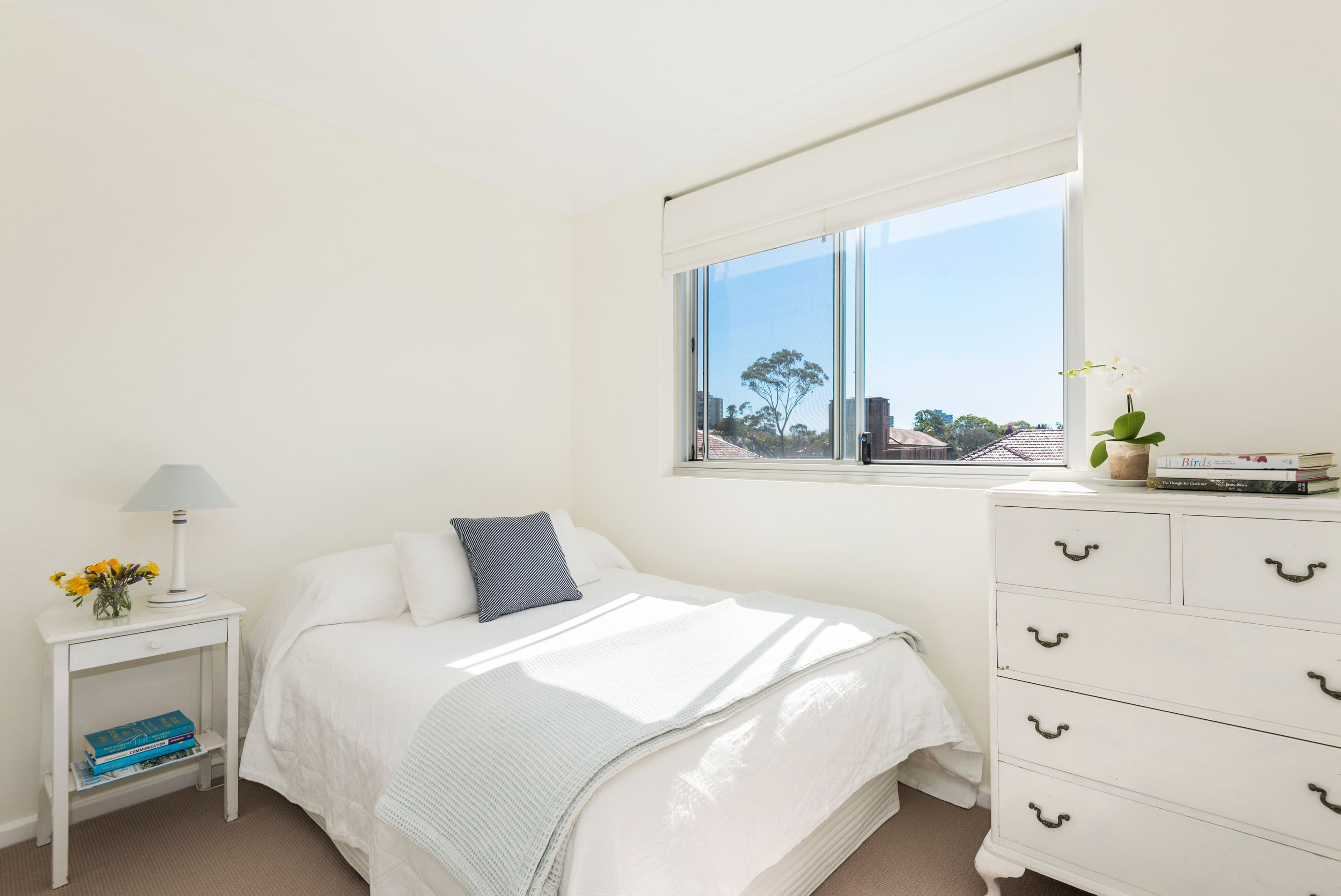 24 Barry Street, Neutral Bay NSW 2089, Neutral Bay - Thumbnail 6