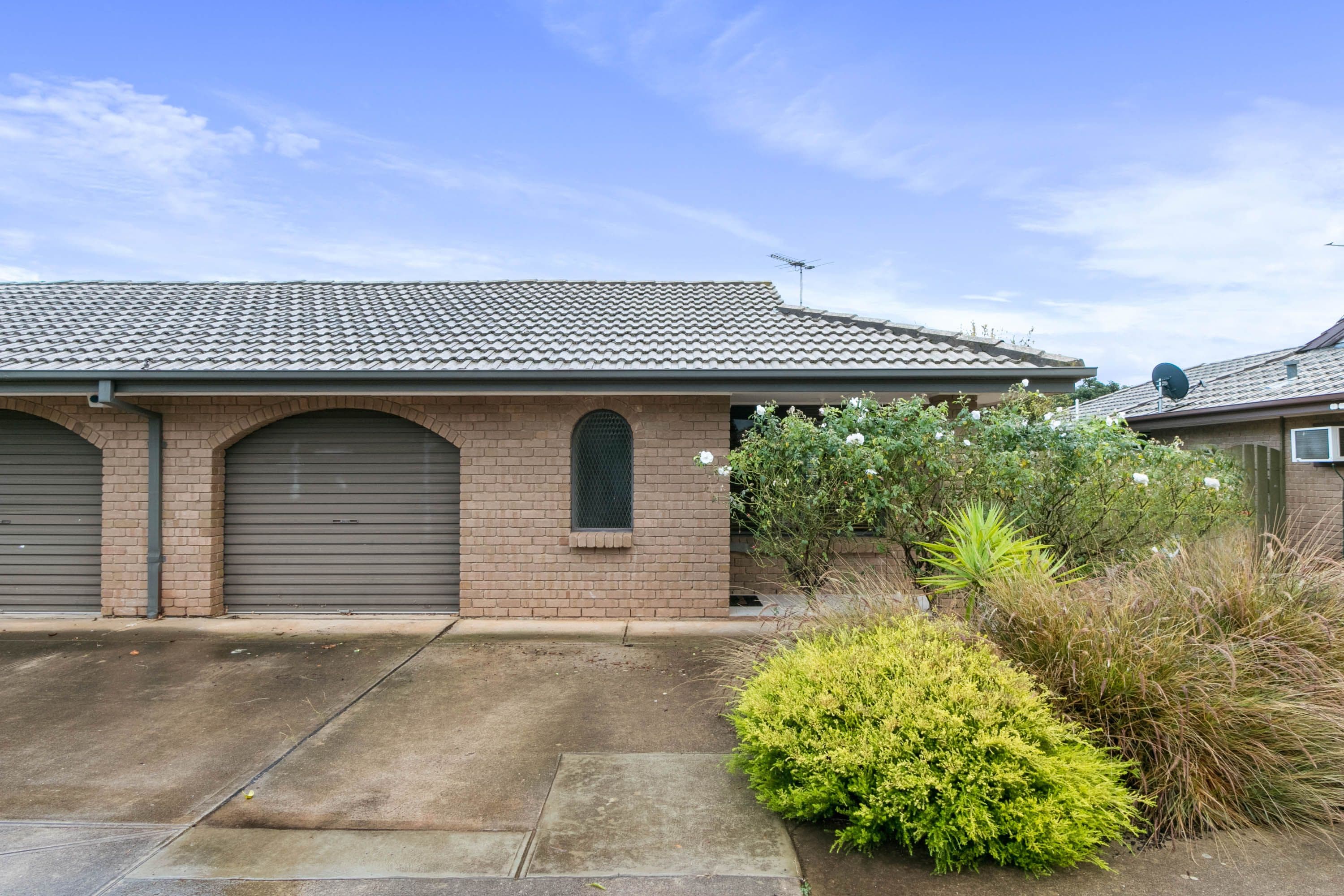 25 Holmes Street, Willaston SA 5118, Willaston - Image 1