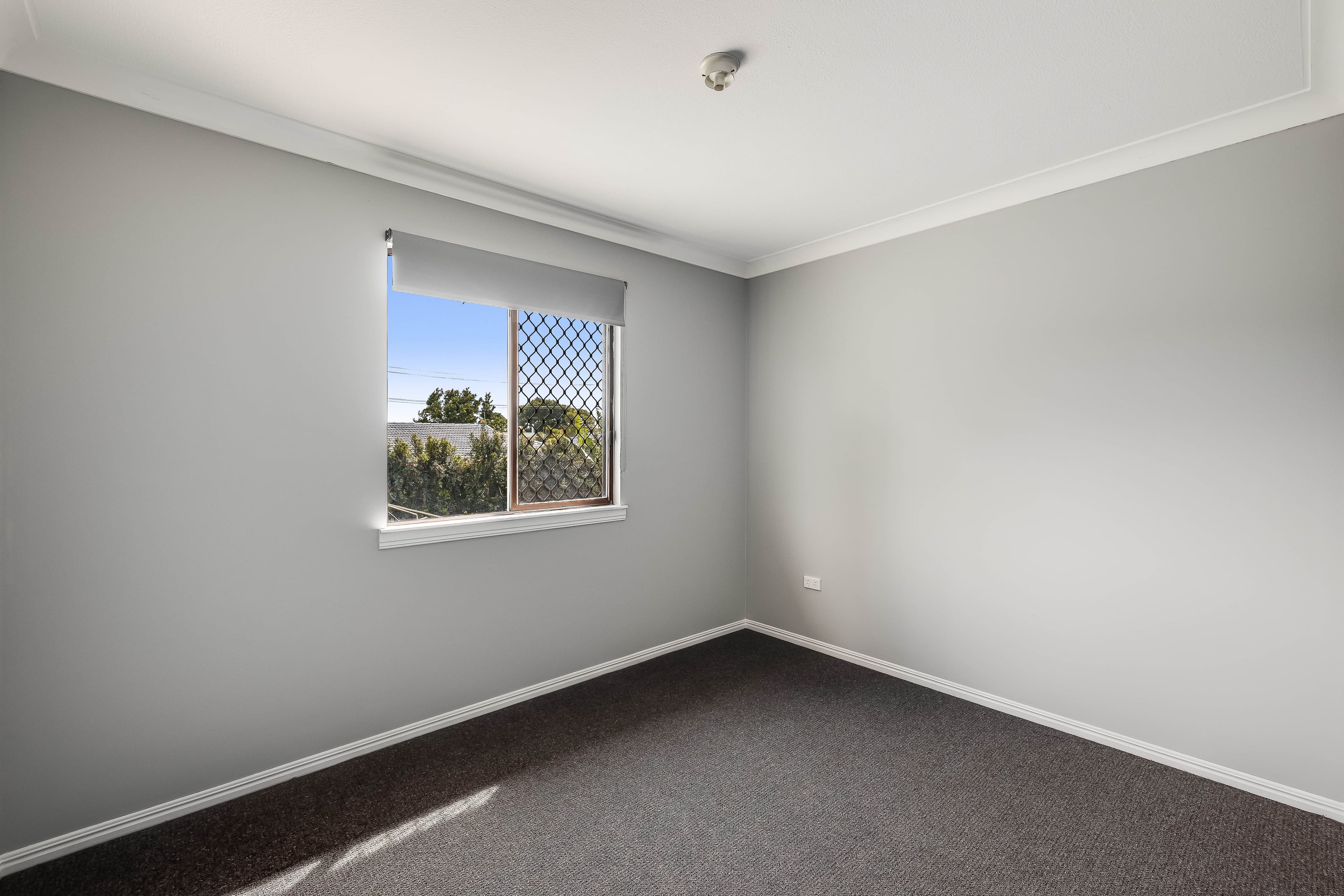 31 Gloucester Crescent, Darling Heights QLD 4350, Darling Heights - Thumbnail 8