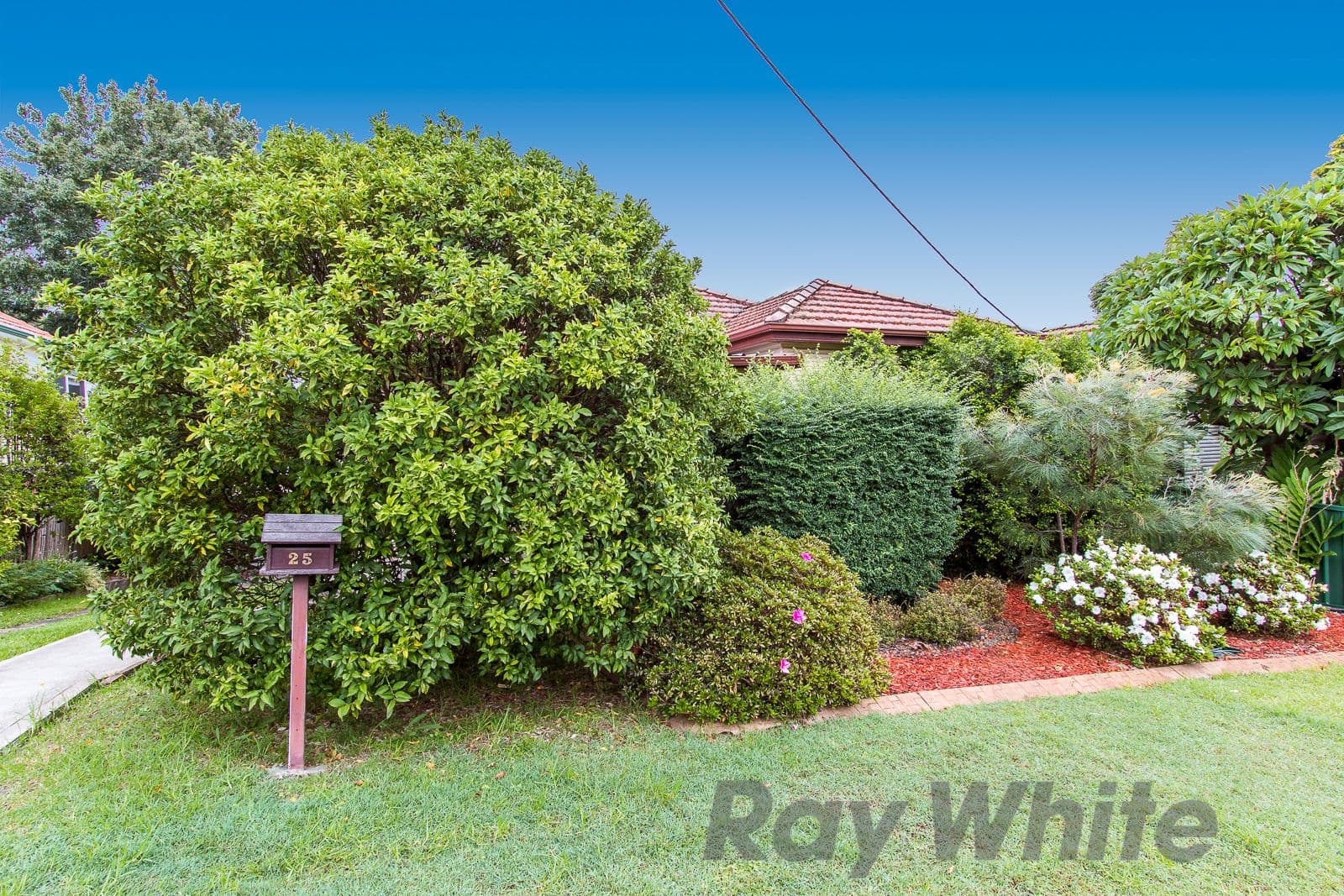 25 Summit Street, North Lambton - Image 1