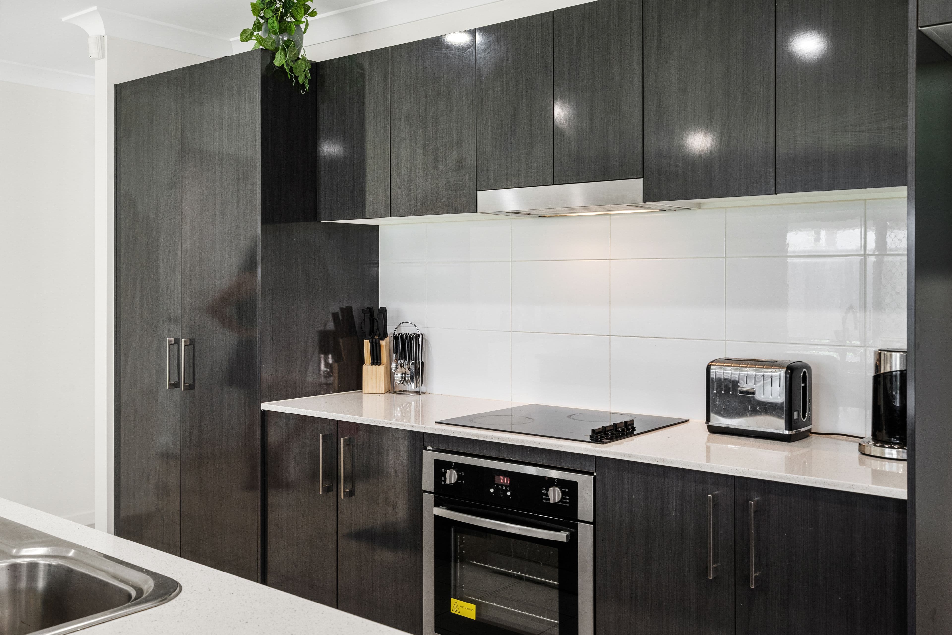 40 Cardamom Close, Griffin QLD 4503, Griffin - Thumbnail 3
