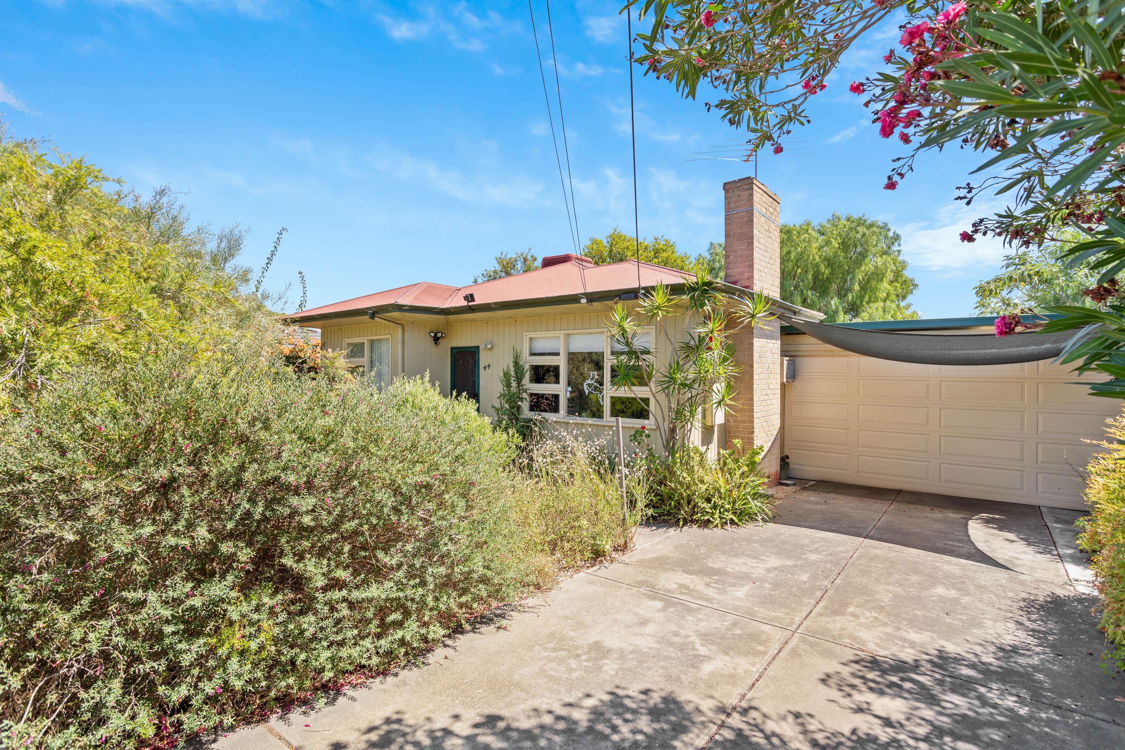 44 Darlington Street, Enfield SA 5085, Enfield - Image 1