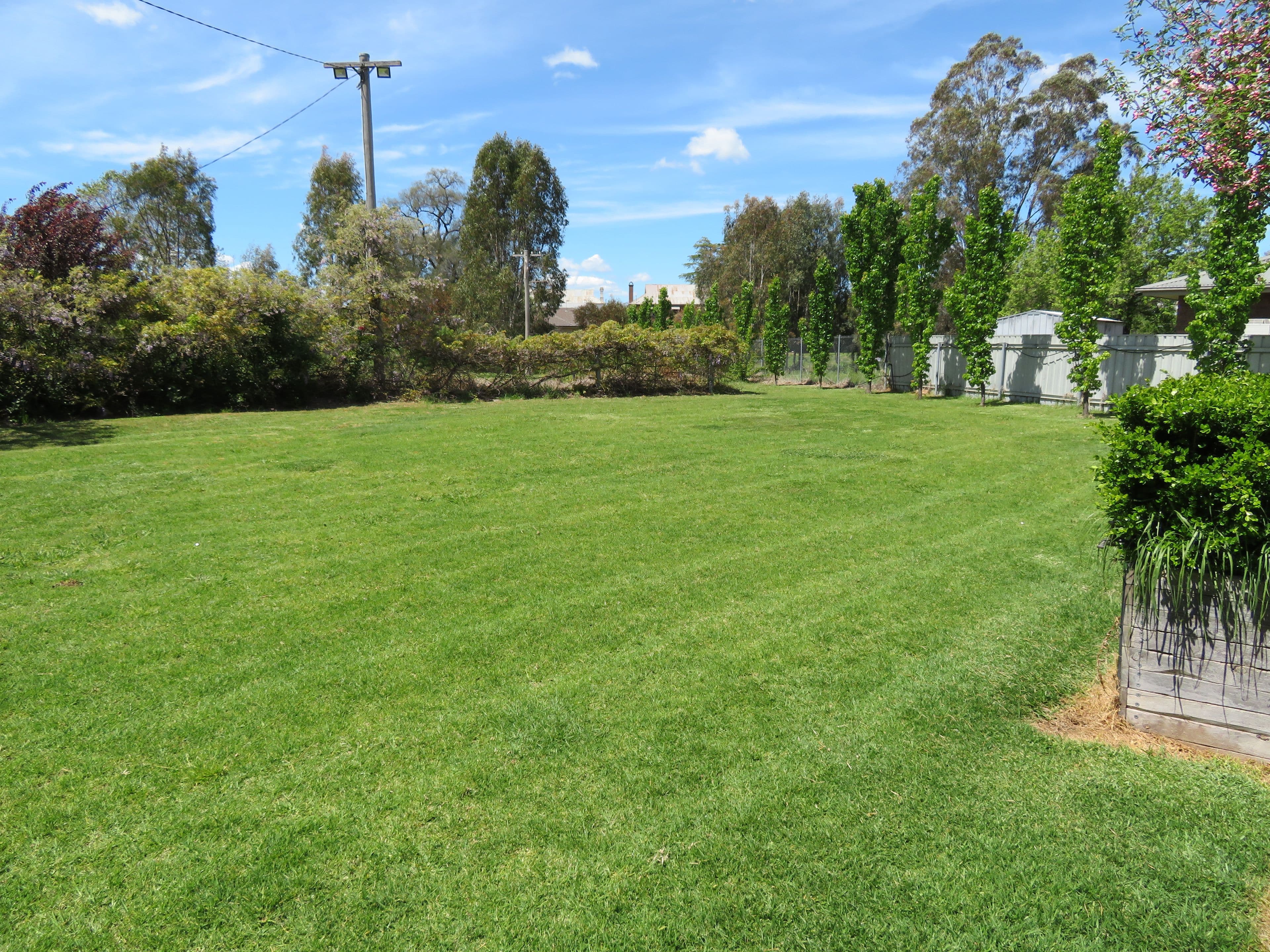 37 Hurley Street, Cootamundra NSW 2590, Cootamundra - Thumbnail 4