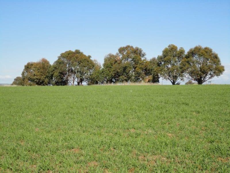 Lot 64 Westdale Road, BEVERLEY WA 6304, Beverley - Thumbnail 5